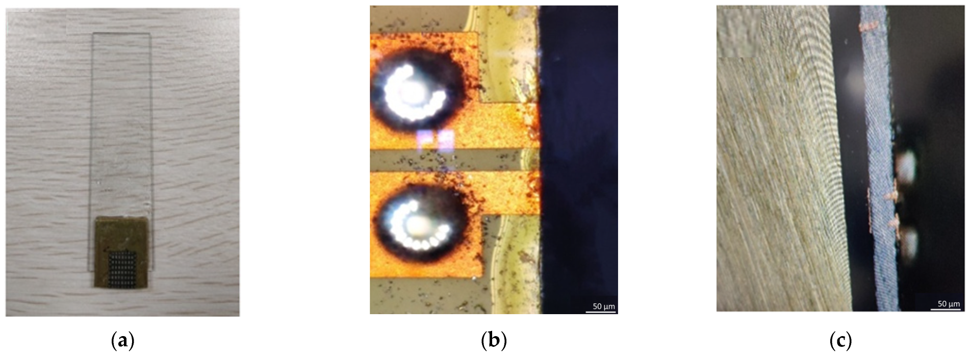 Crystals 14 00037 g004