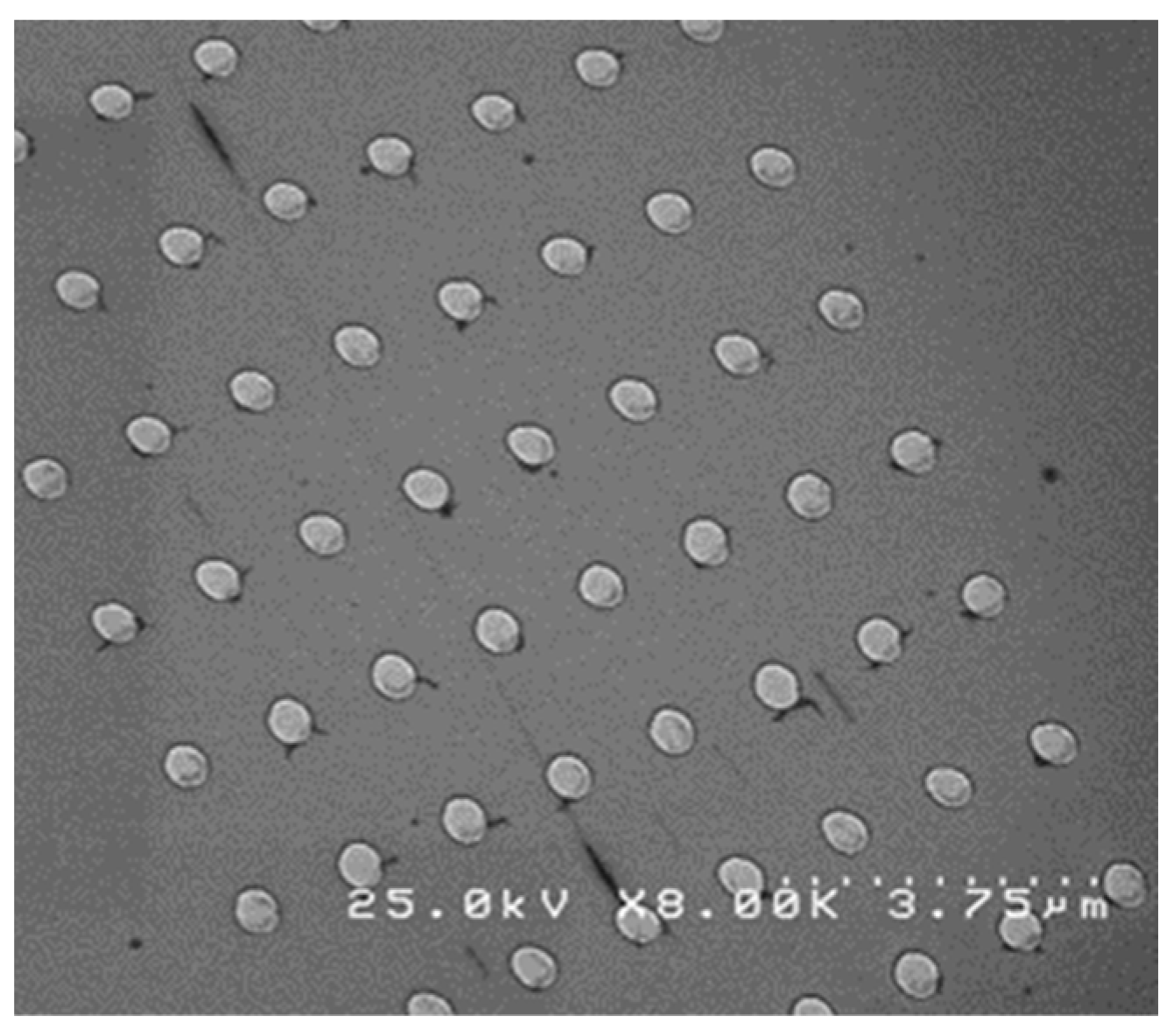 Crystals 14 00058 g007