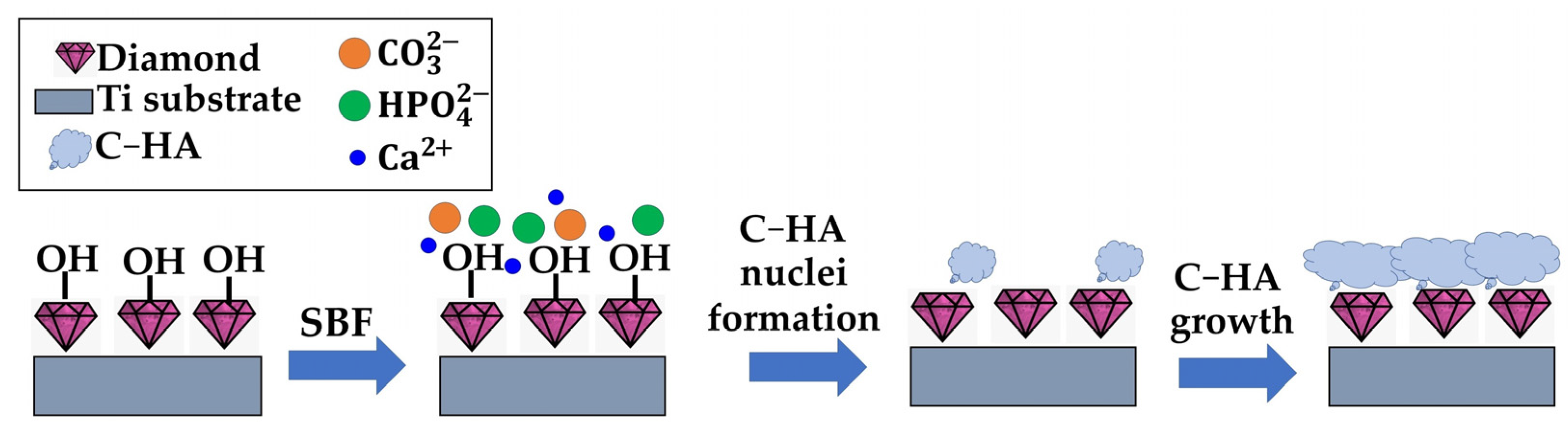 Crystals 14 00066 g005