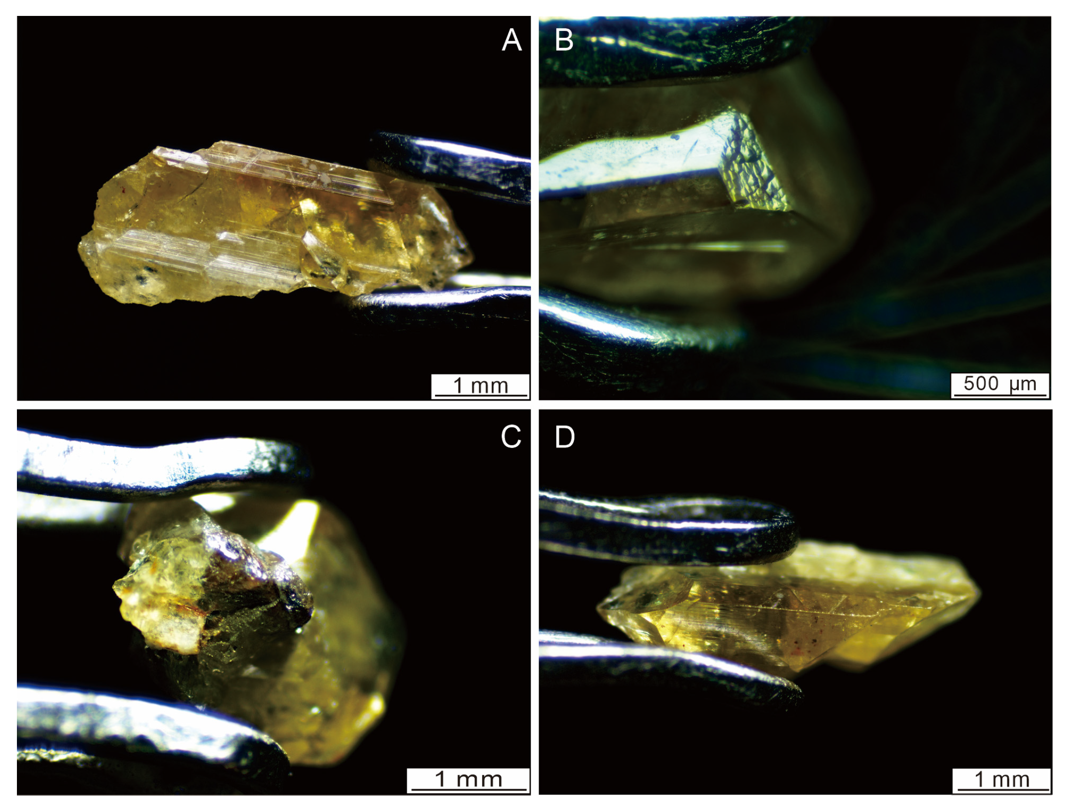 Crystals 14 00080 g004
