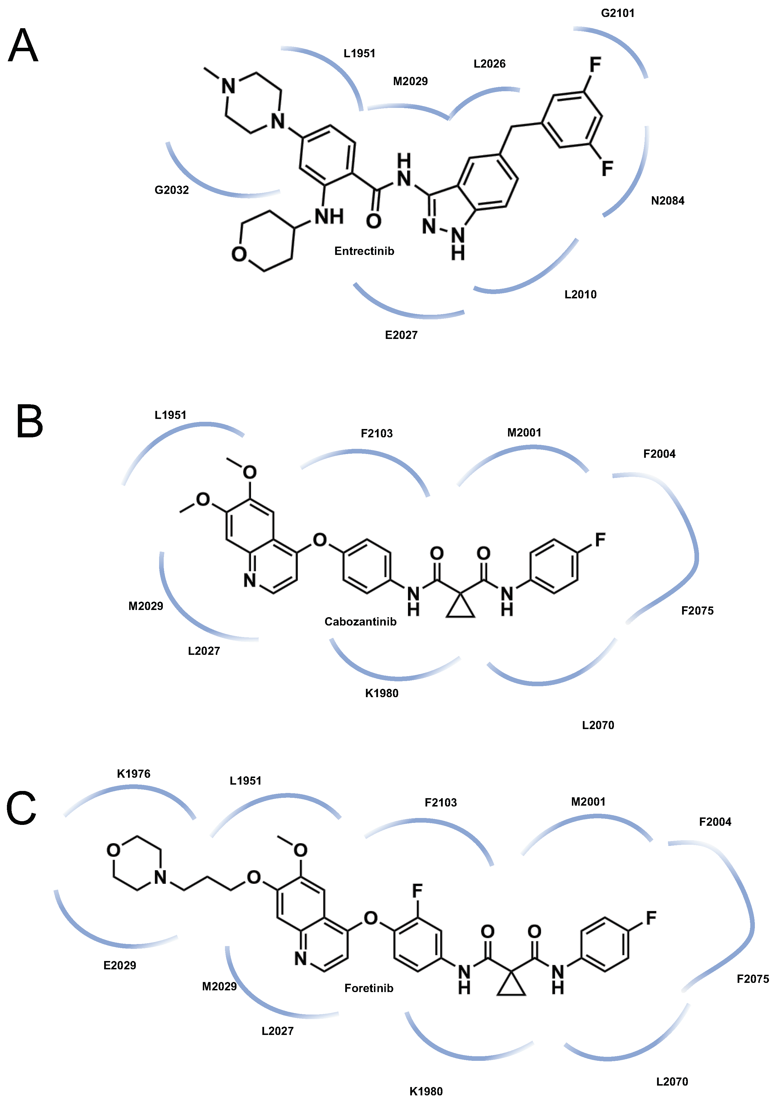 Crystals 14 00106 g004