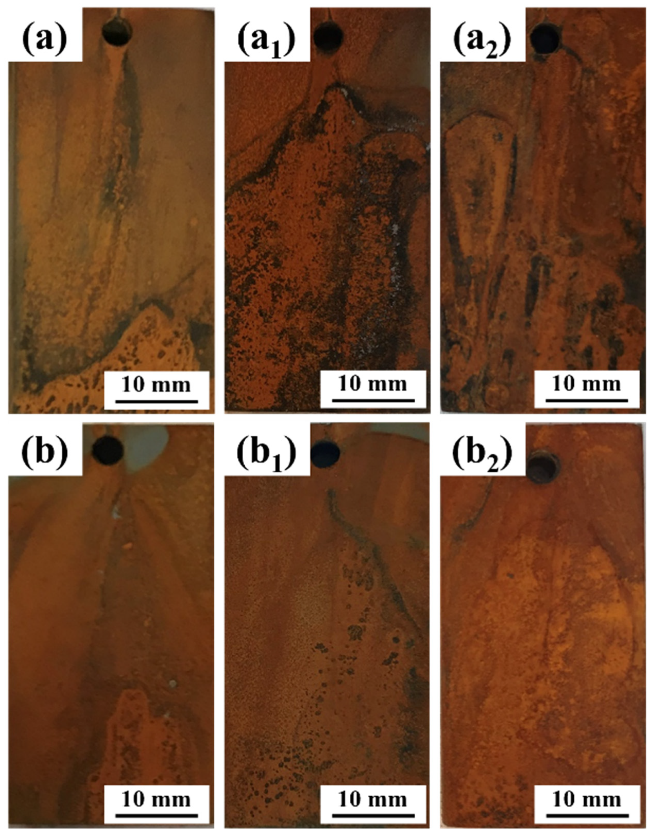 Crystals 14 00113 g003 Crystals 14 00113 g003