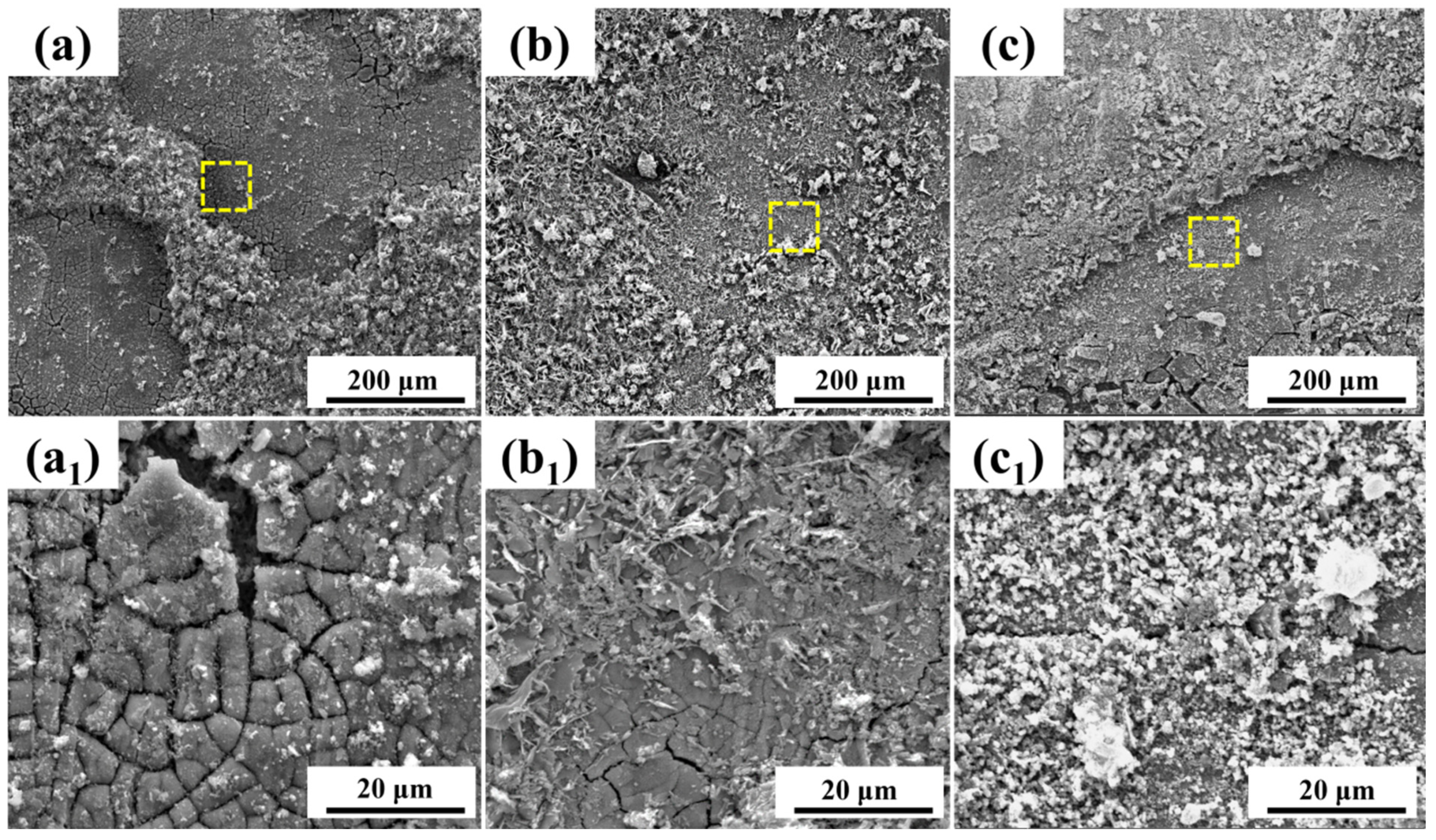 Crystals 14 00113 g004 Crystals 14 00113 g004