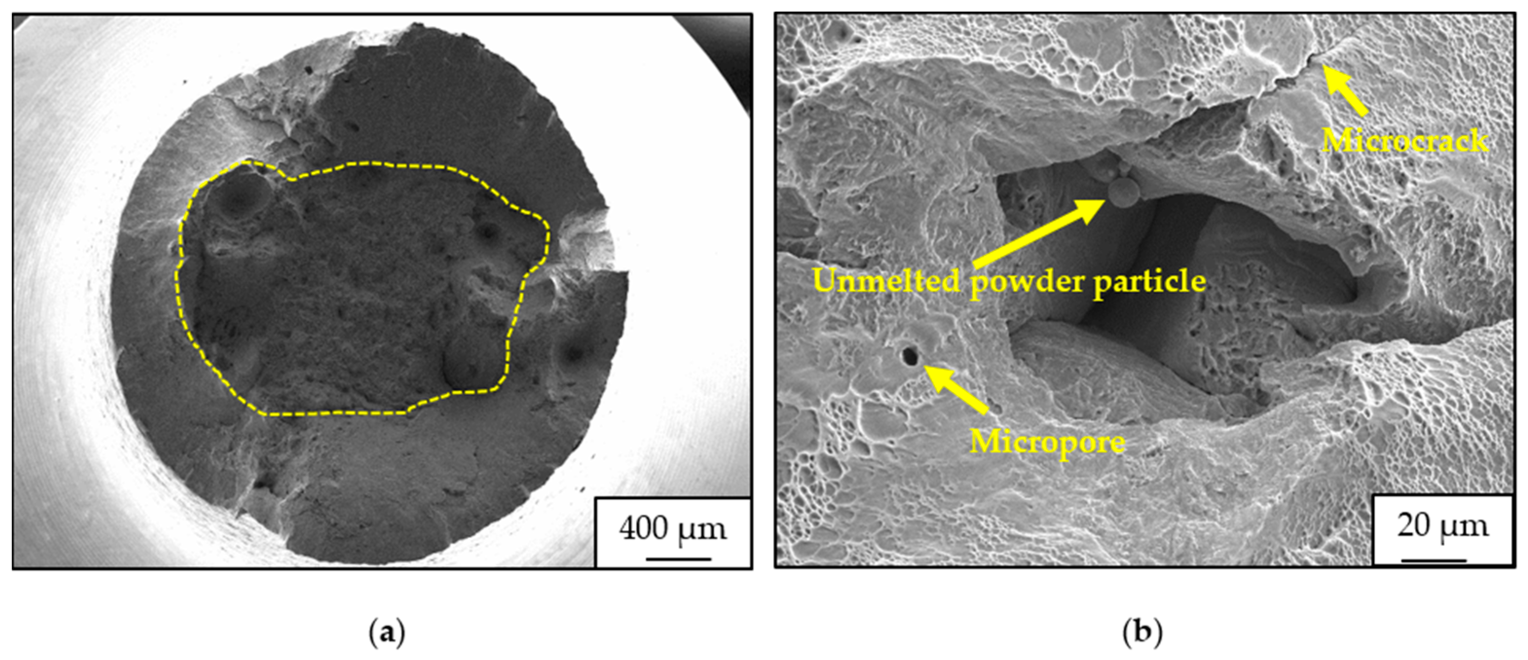 Crystals 14 00117 g006