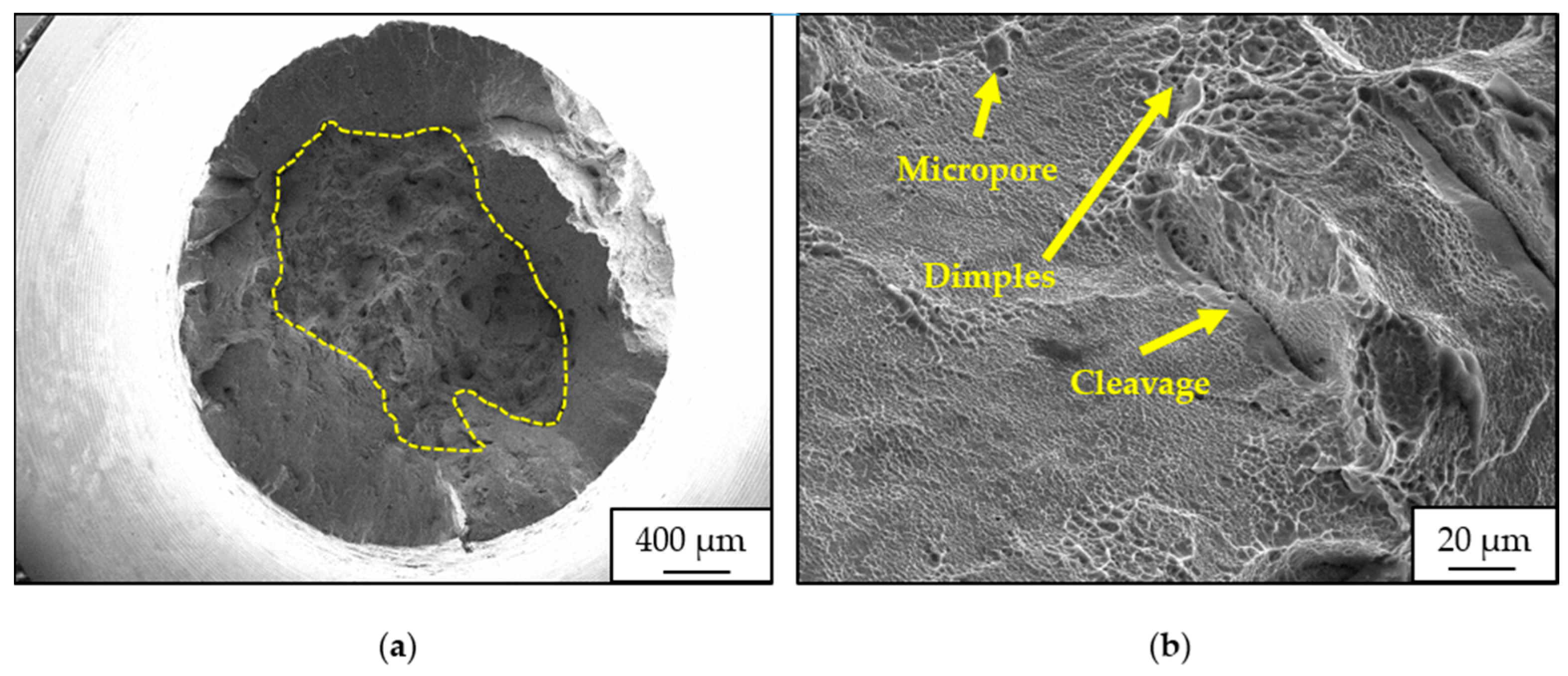 Crystals 14 00117 g008