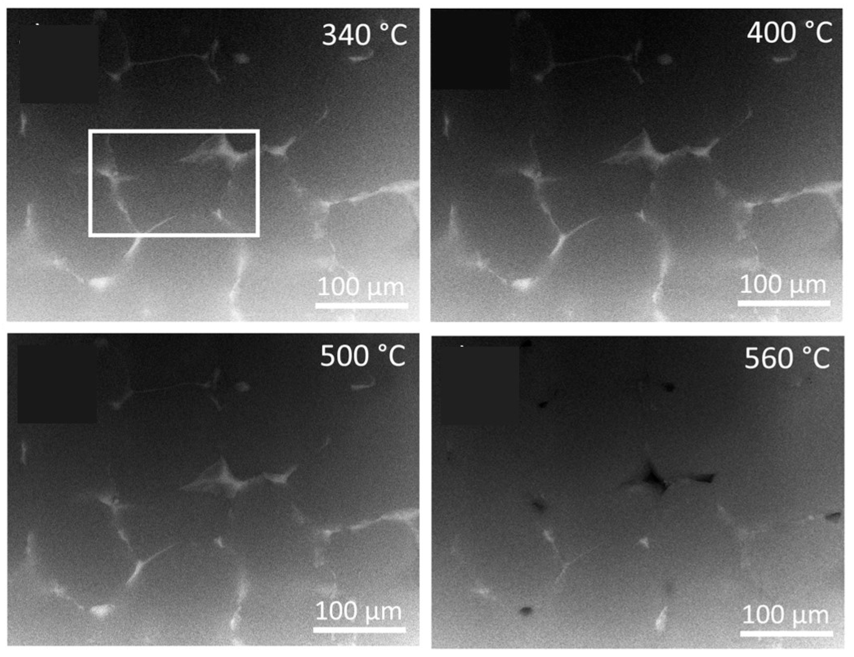 Crystals 14 00136 g006