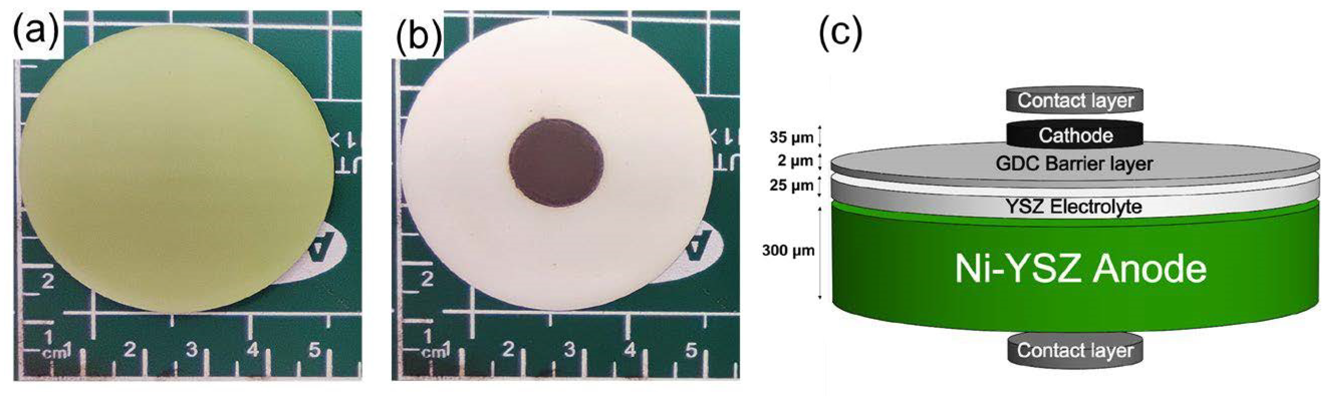 Crystals 14 00143 g001