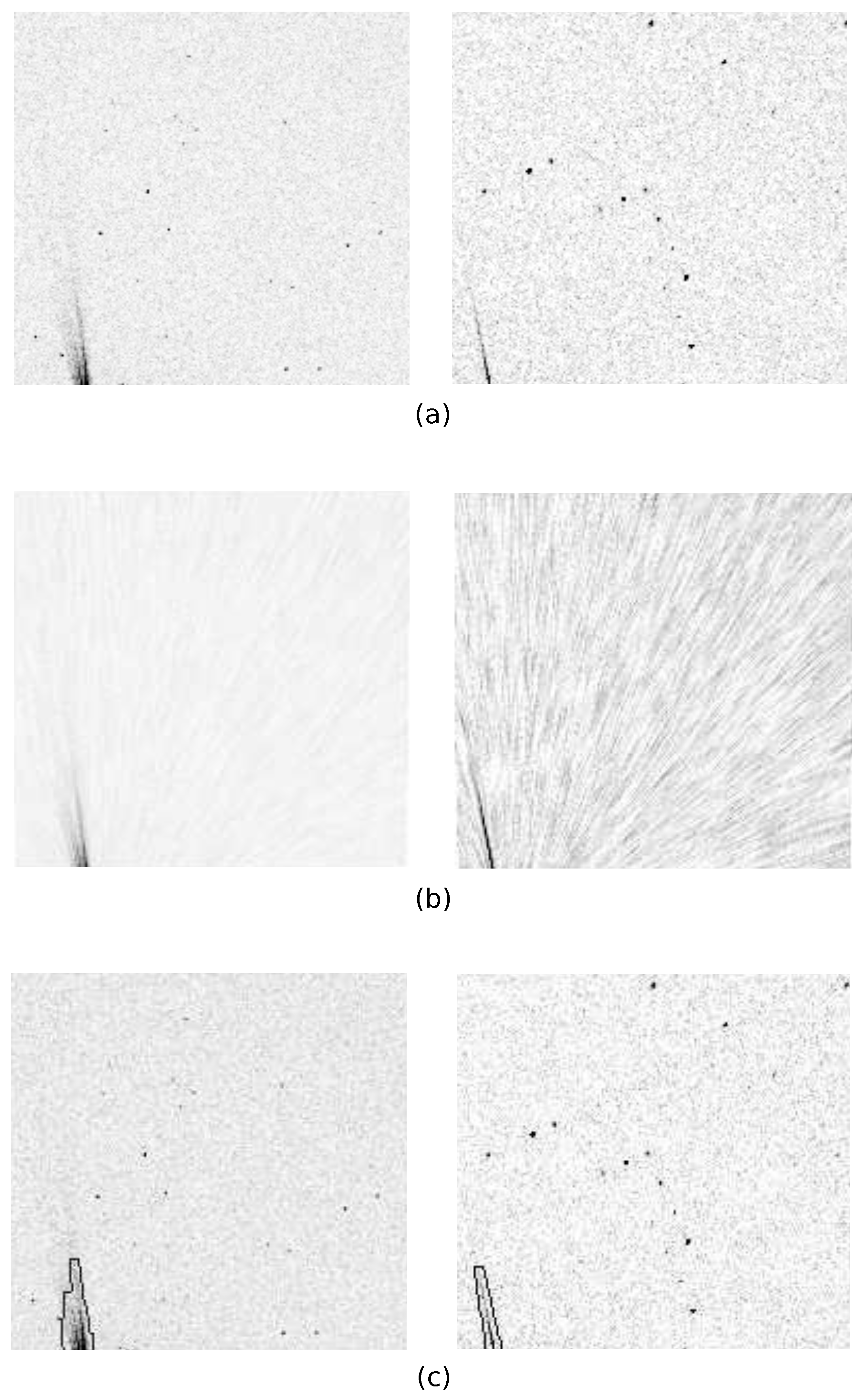 Crystals 14 00164 g006