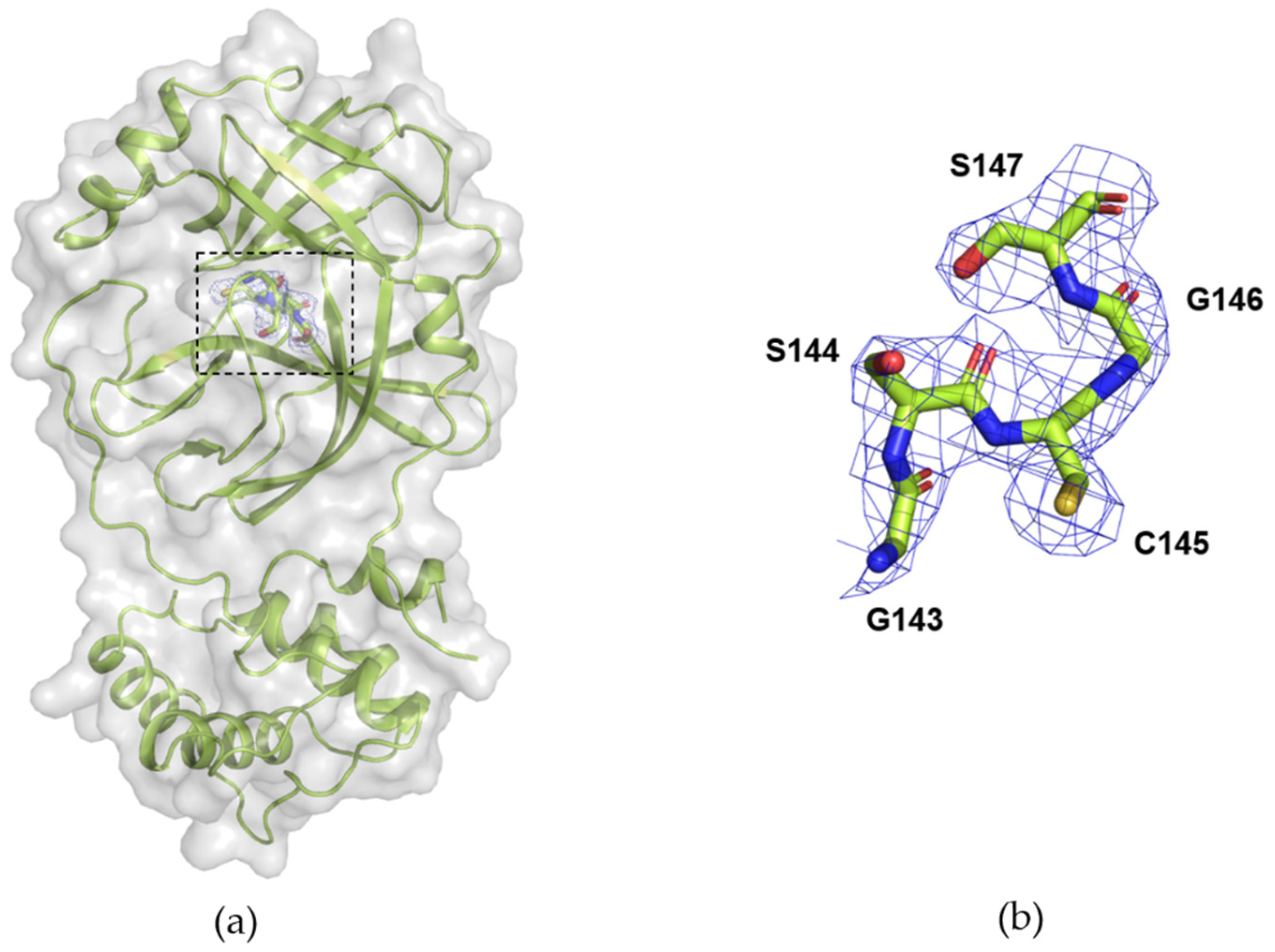 Crystals 14 00199 g004