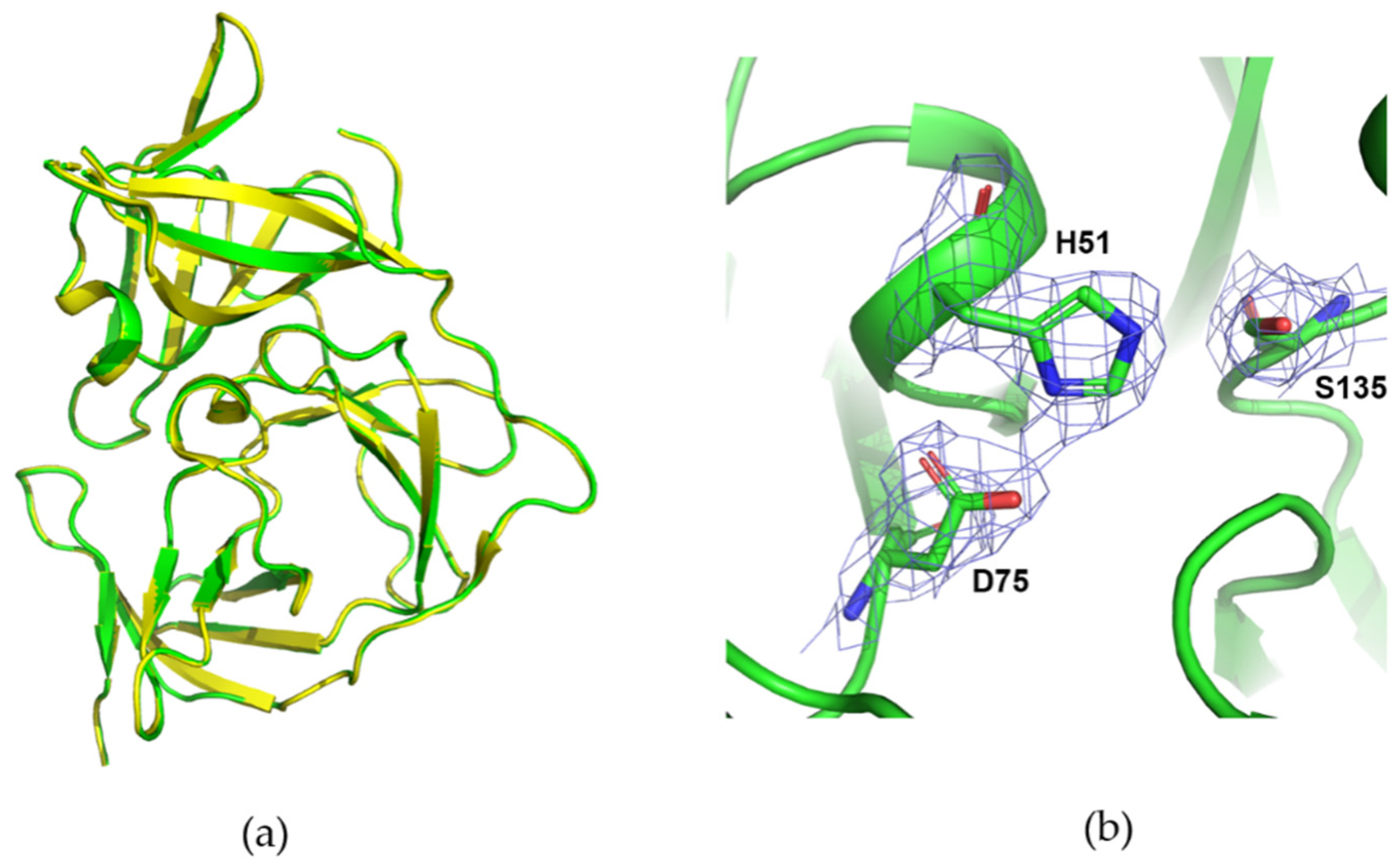 Crystals 14 00199 g005