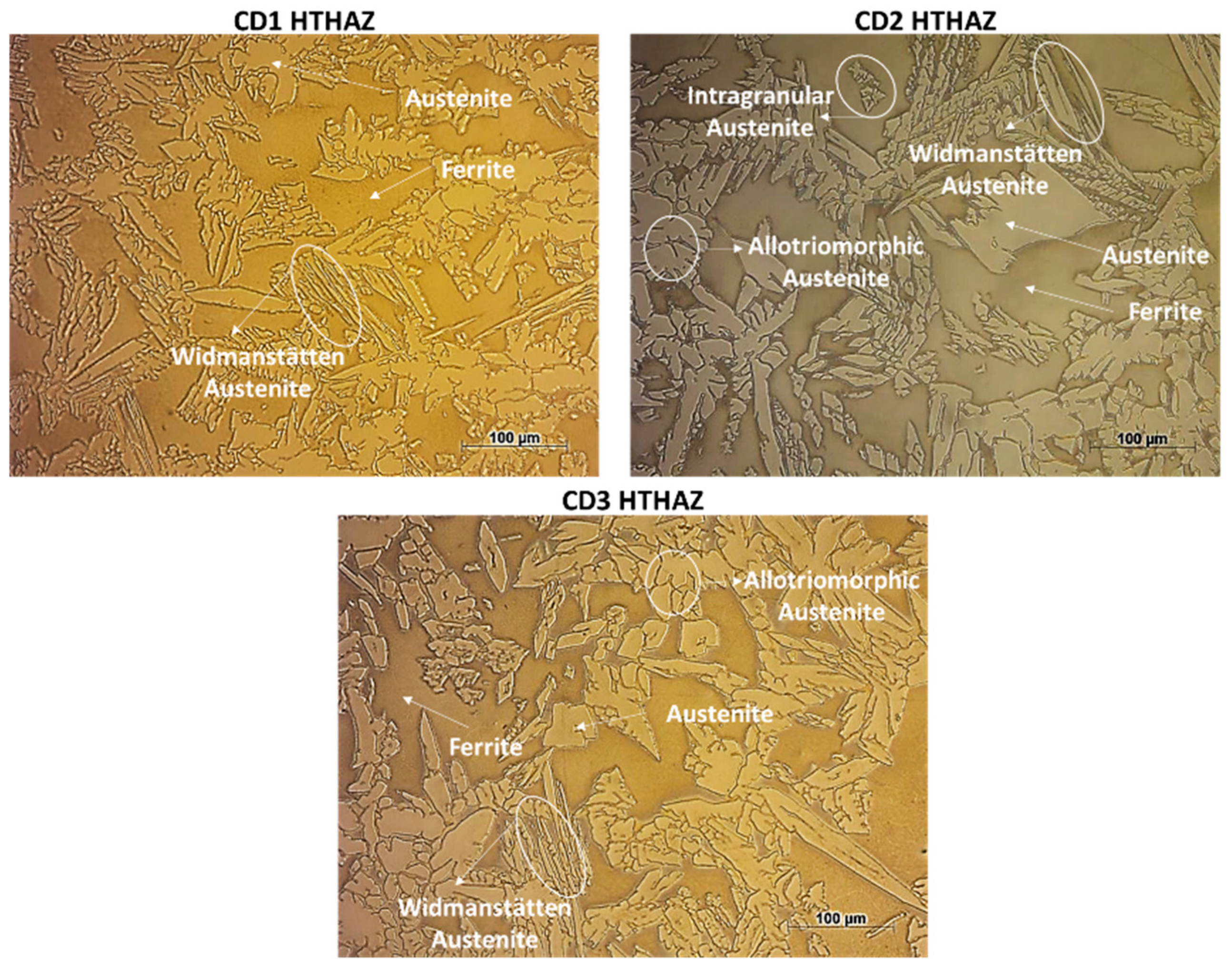 Crystals 14 00204 g007 Crystals 14 00204 g007