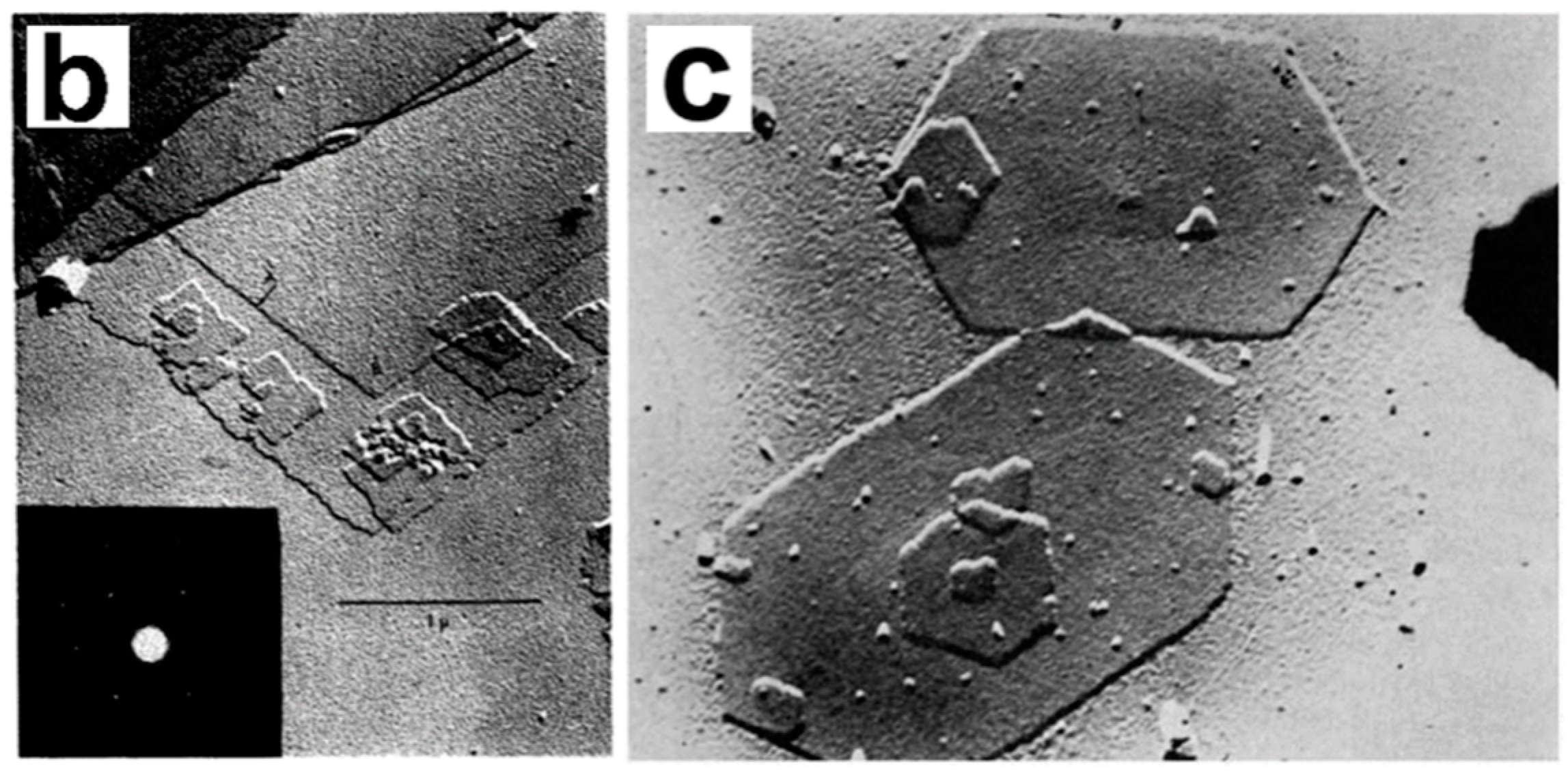 Crystals 14 00207 g002 Crystals 14 00207 g002