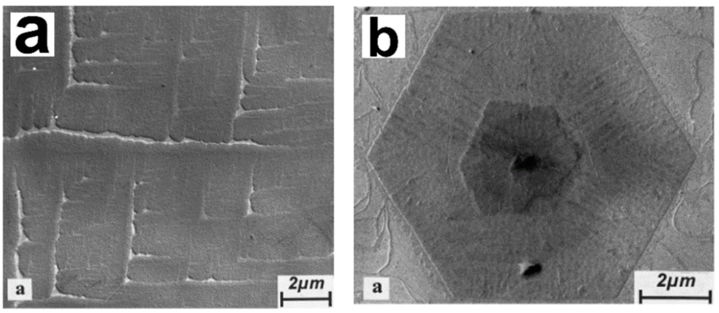 Crystals 14 00207 g004 Crystals 14 00207 g004
