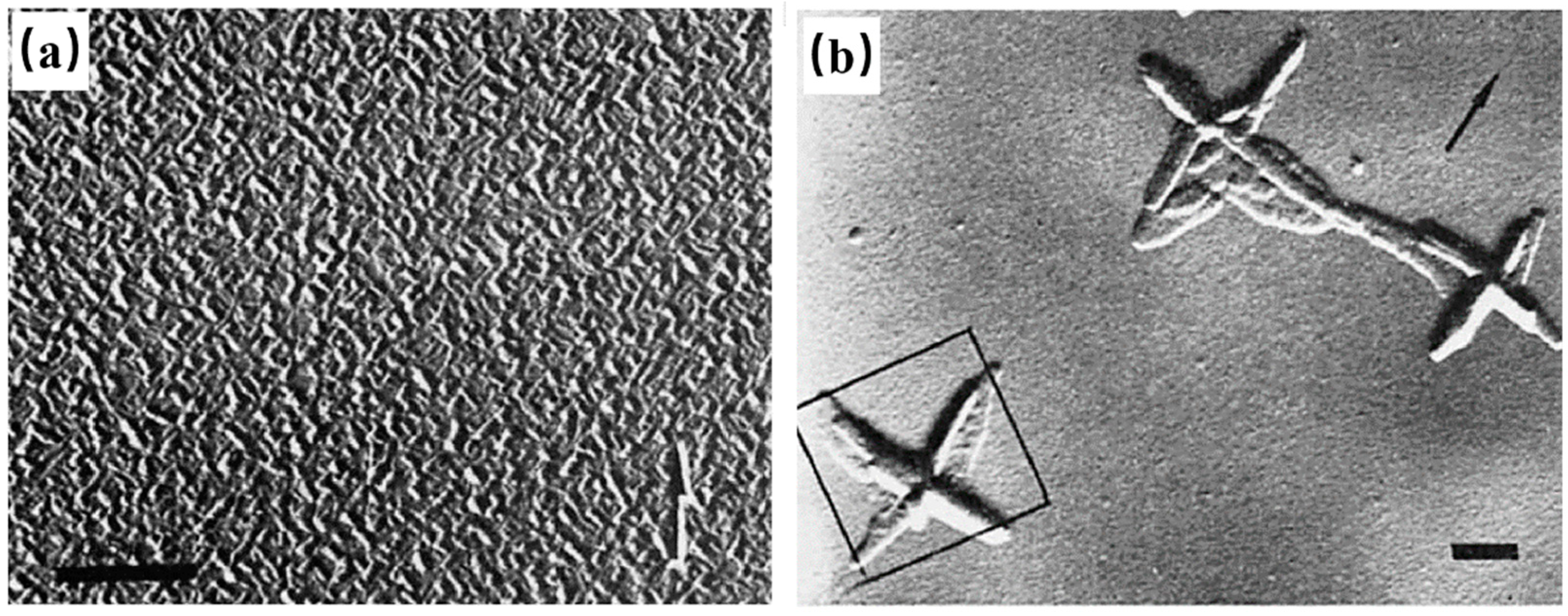Crystals 14 00207 g005 Crystals 14 00207 g005