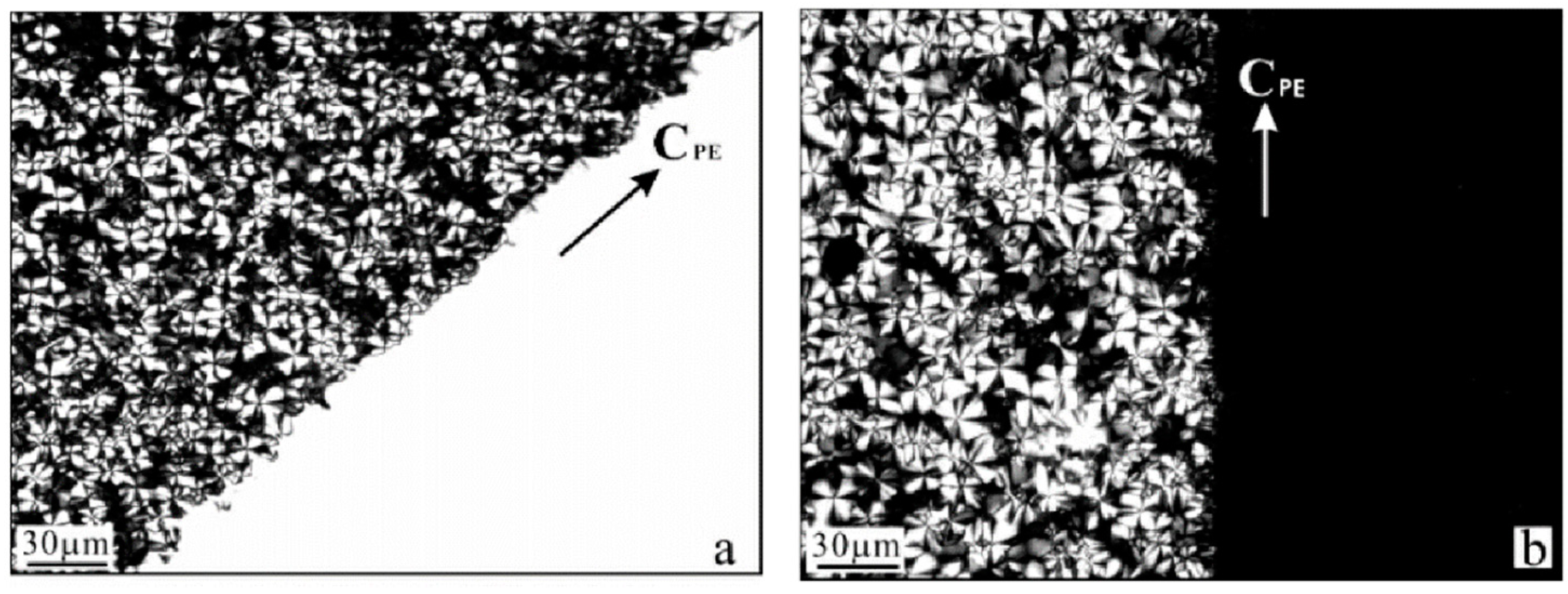 Crystals 14 00207 g008 Crystals 14 00207 g008