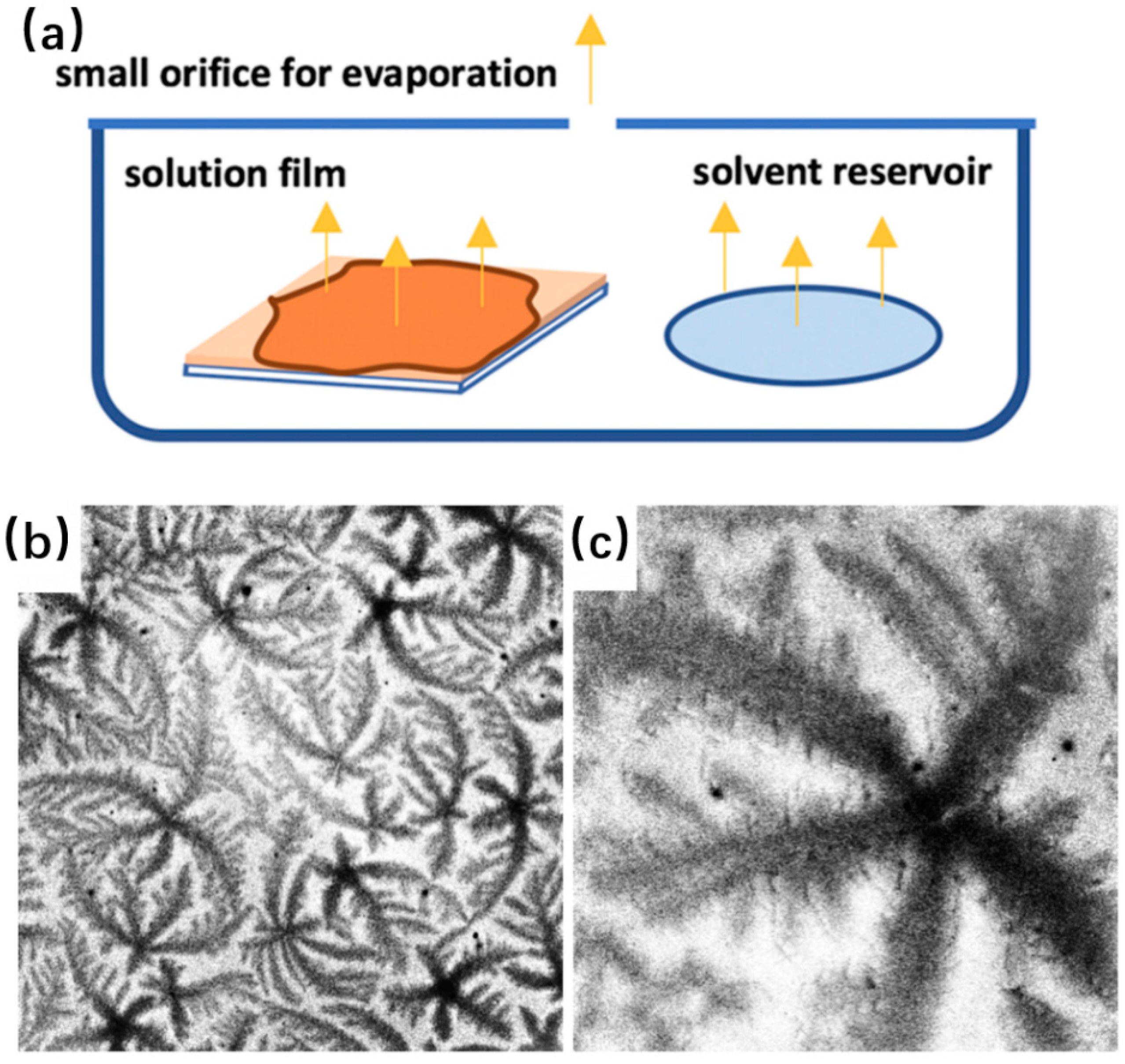 Crystals 14 00207 g010 Crystals 14 00207 g010