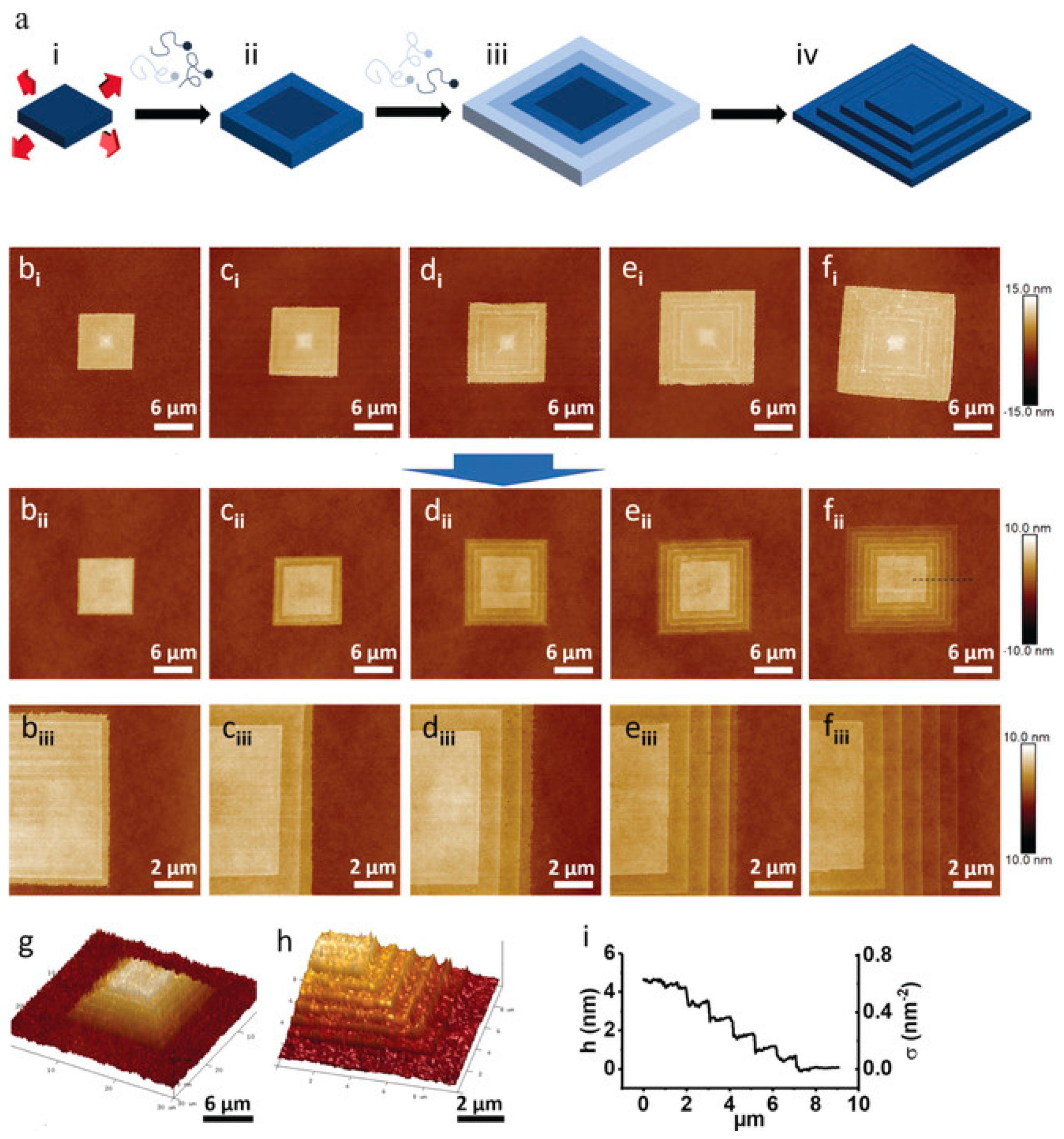 Crystals 14 00207 g015 Crystals 14 00207 g015