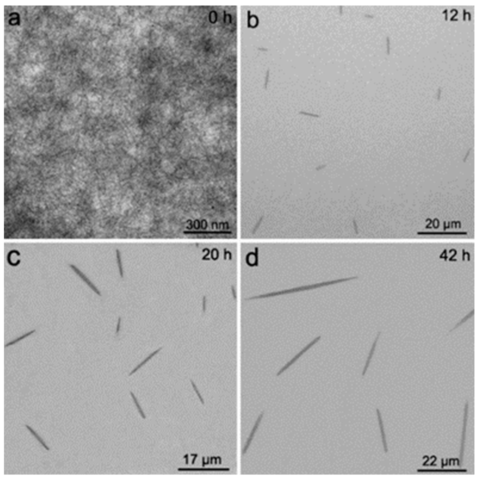 Crystals 14 00207 g017 Crystals 14 00207 g017