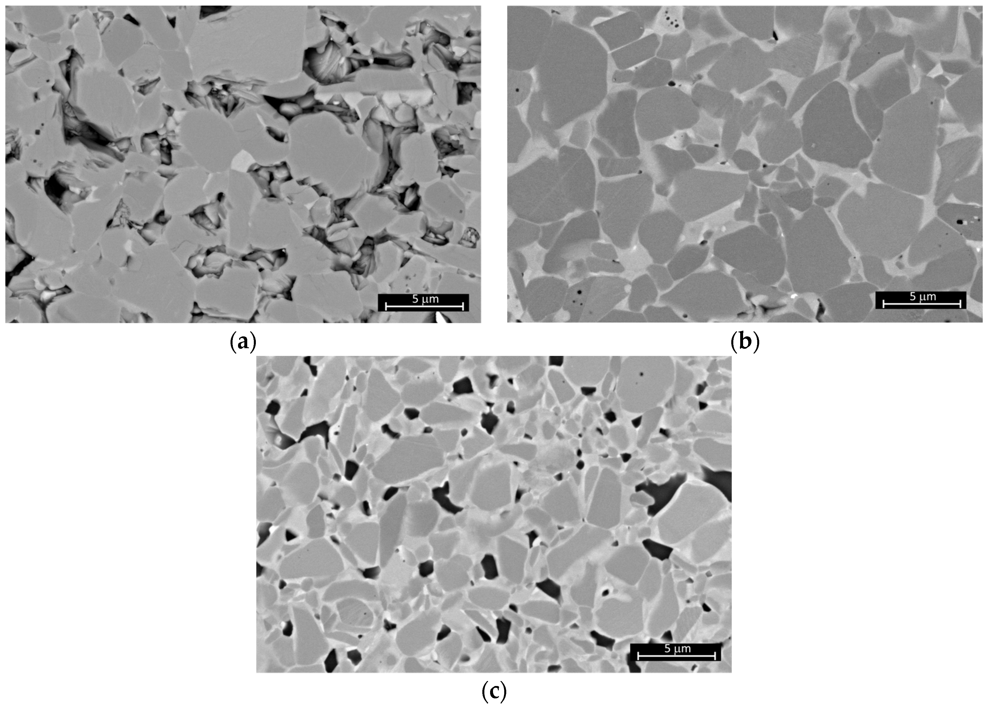 Crystals 14 00212 g008