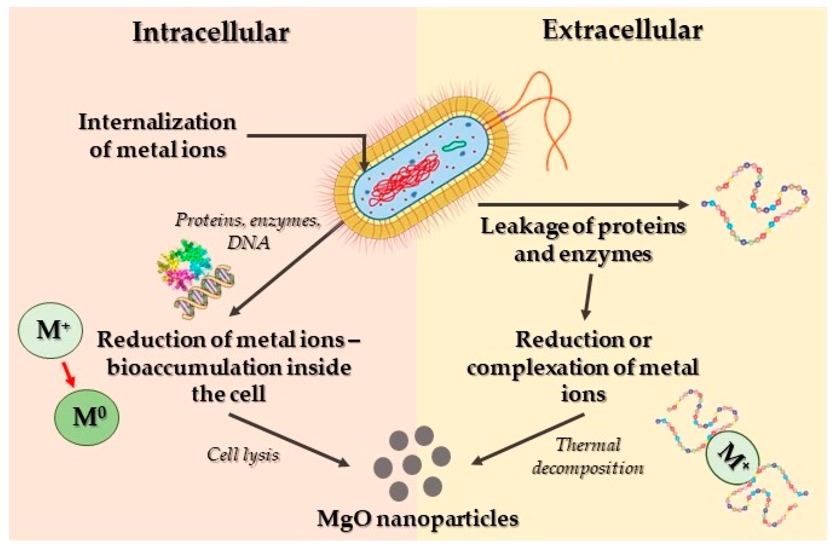 Crystals 14 00215 g007 Crystals 14 00215 g007