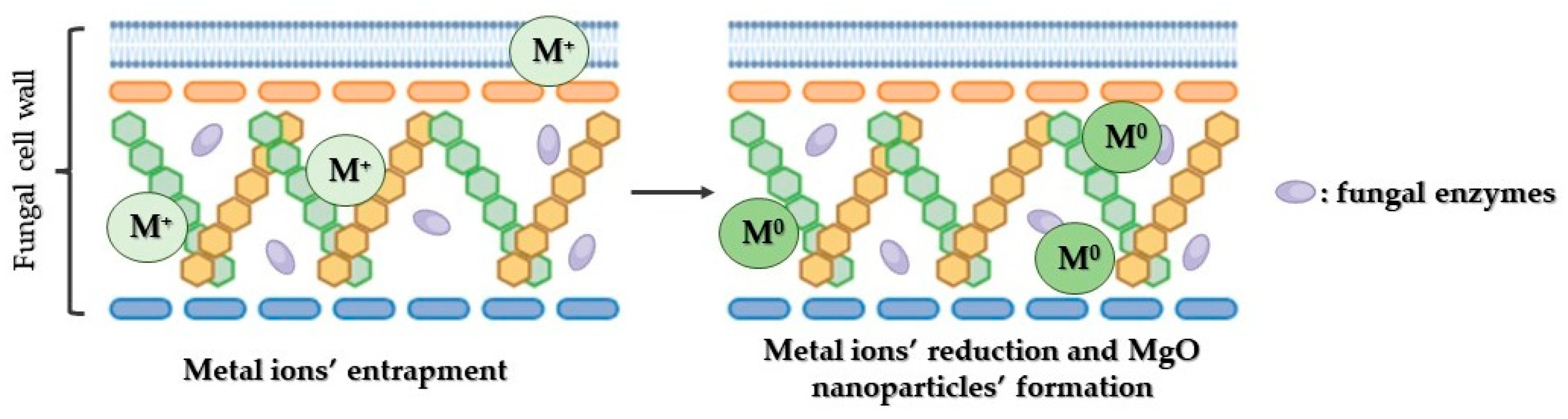 Crystals 14 00215 g008 Crystals 14 00215 g008