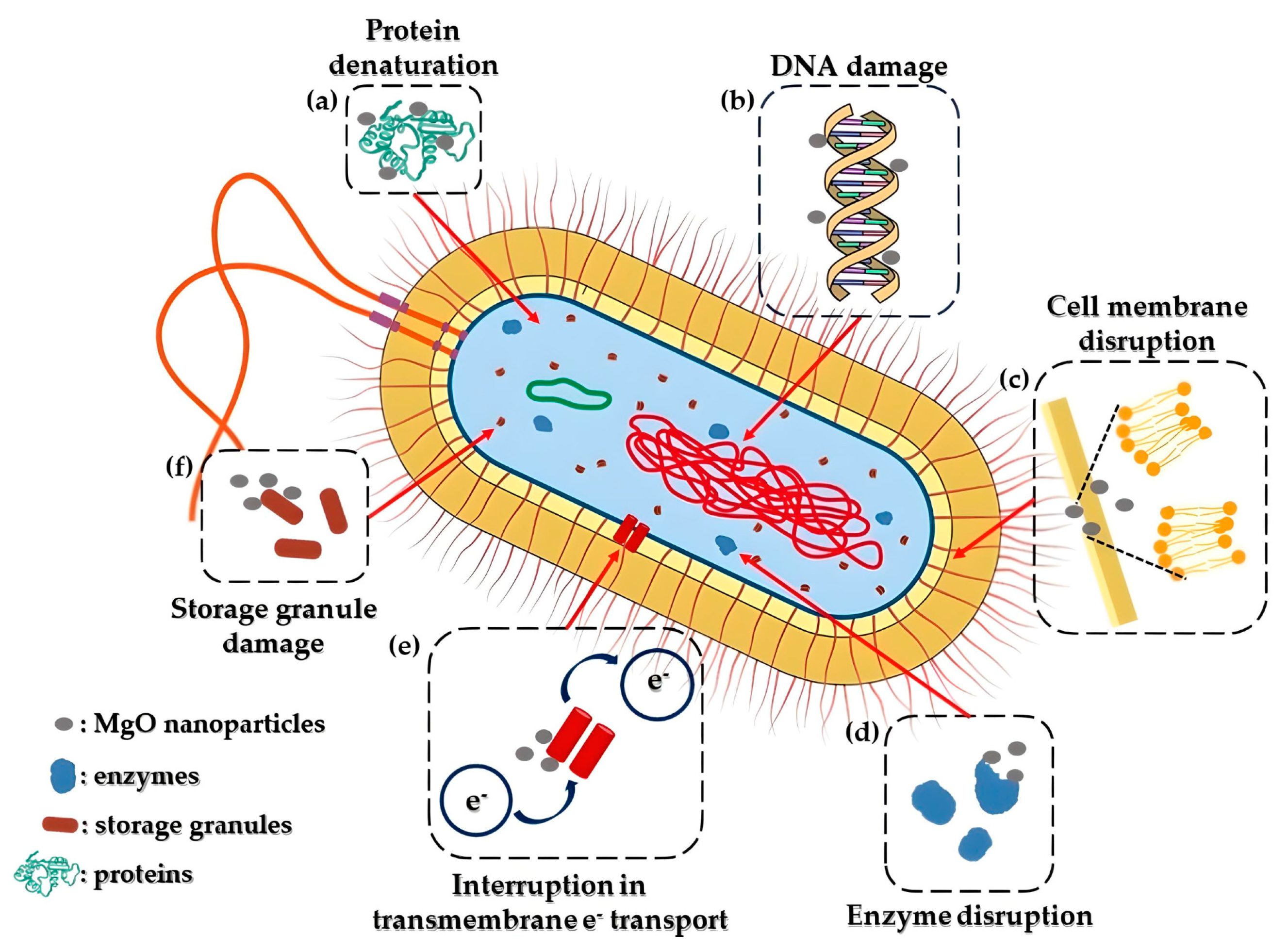 Crystals 14 00215 g009 Crystals 14 00215 g009