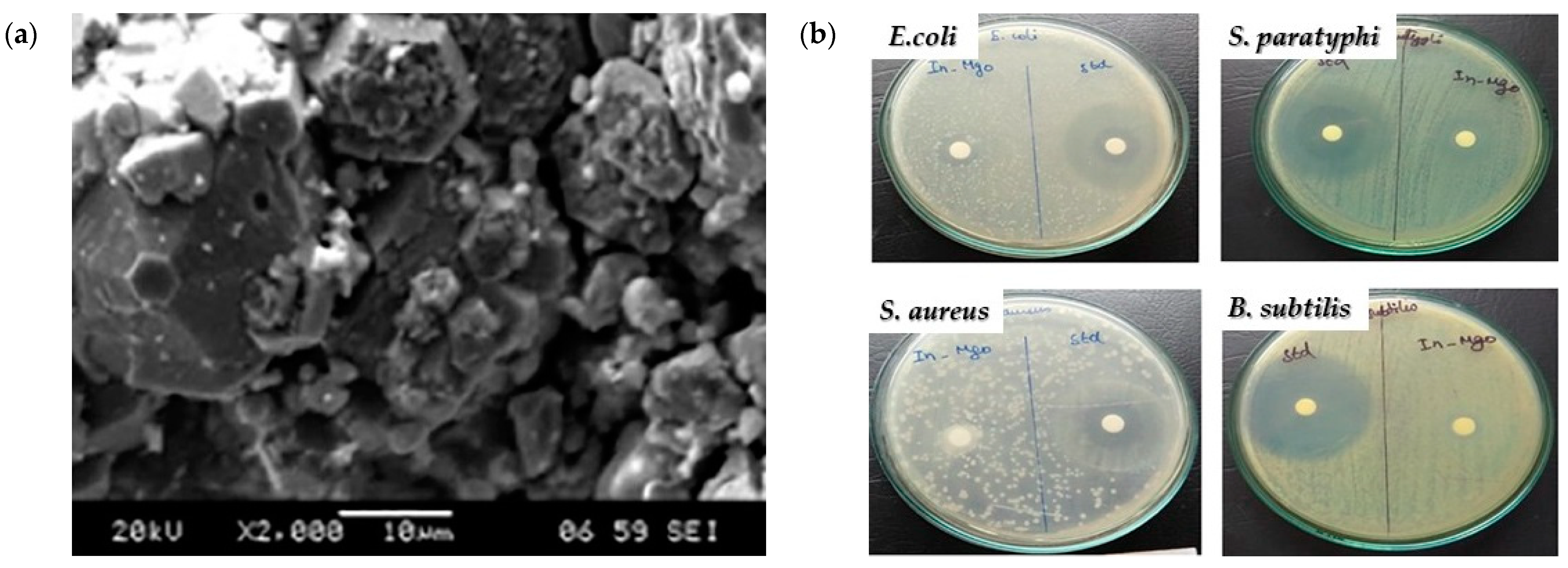 Crystals 14 00215 g010 Crystals 14 00215 g010