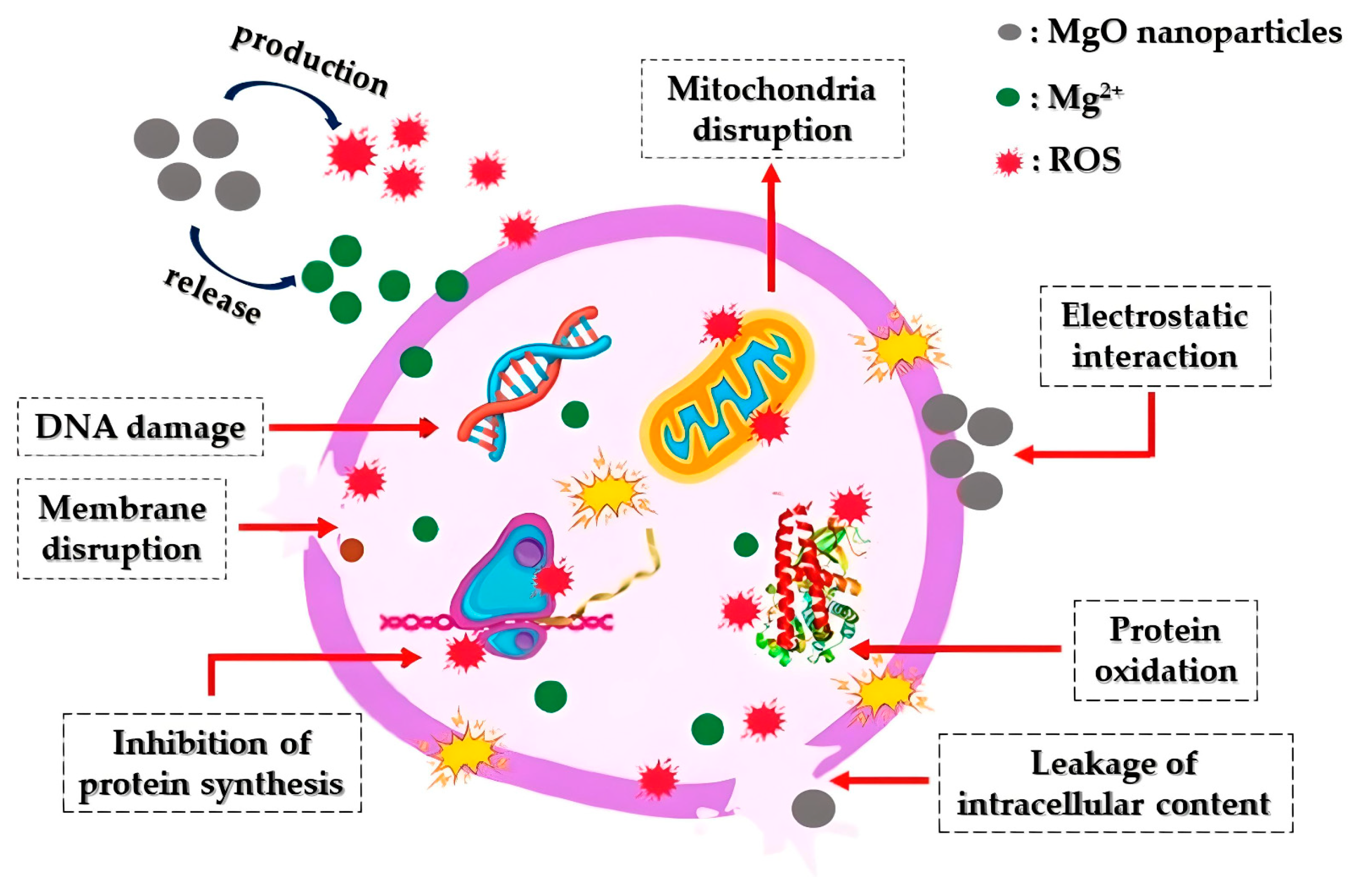 Crystals 14 00215 g011 Crystals 14 00215 g011