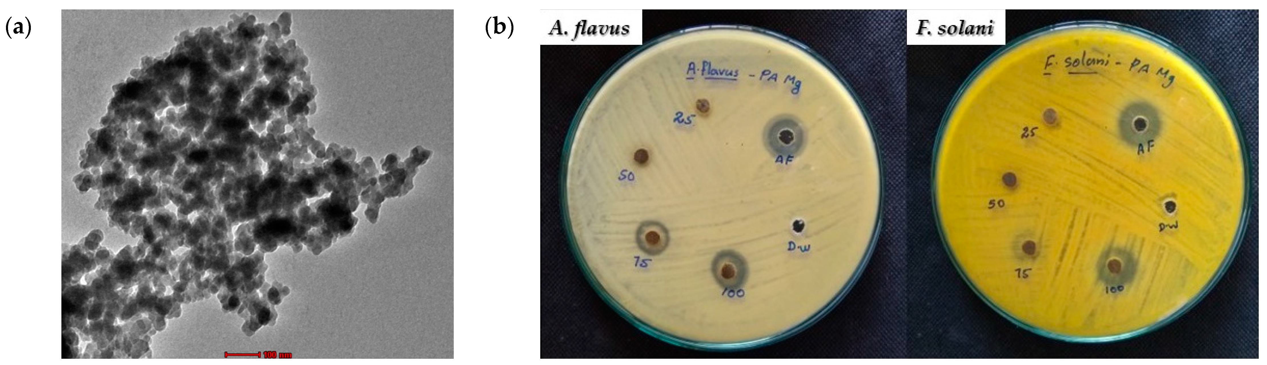 Crystals 14 00215 g012 Crystals 14 00215 g012