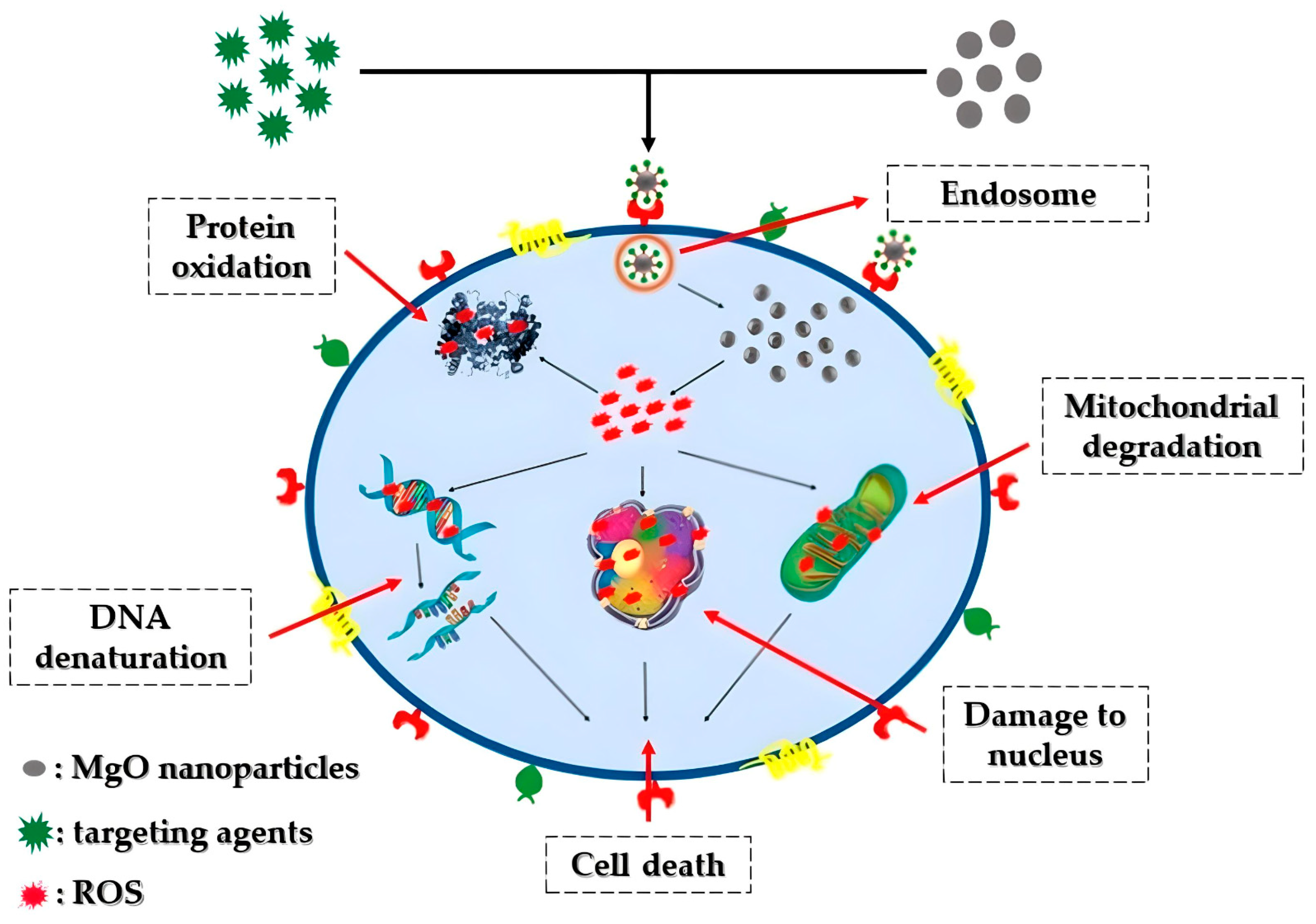 Crystals 14 00215 g013 Crystals 14 00215 g013