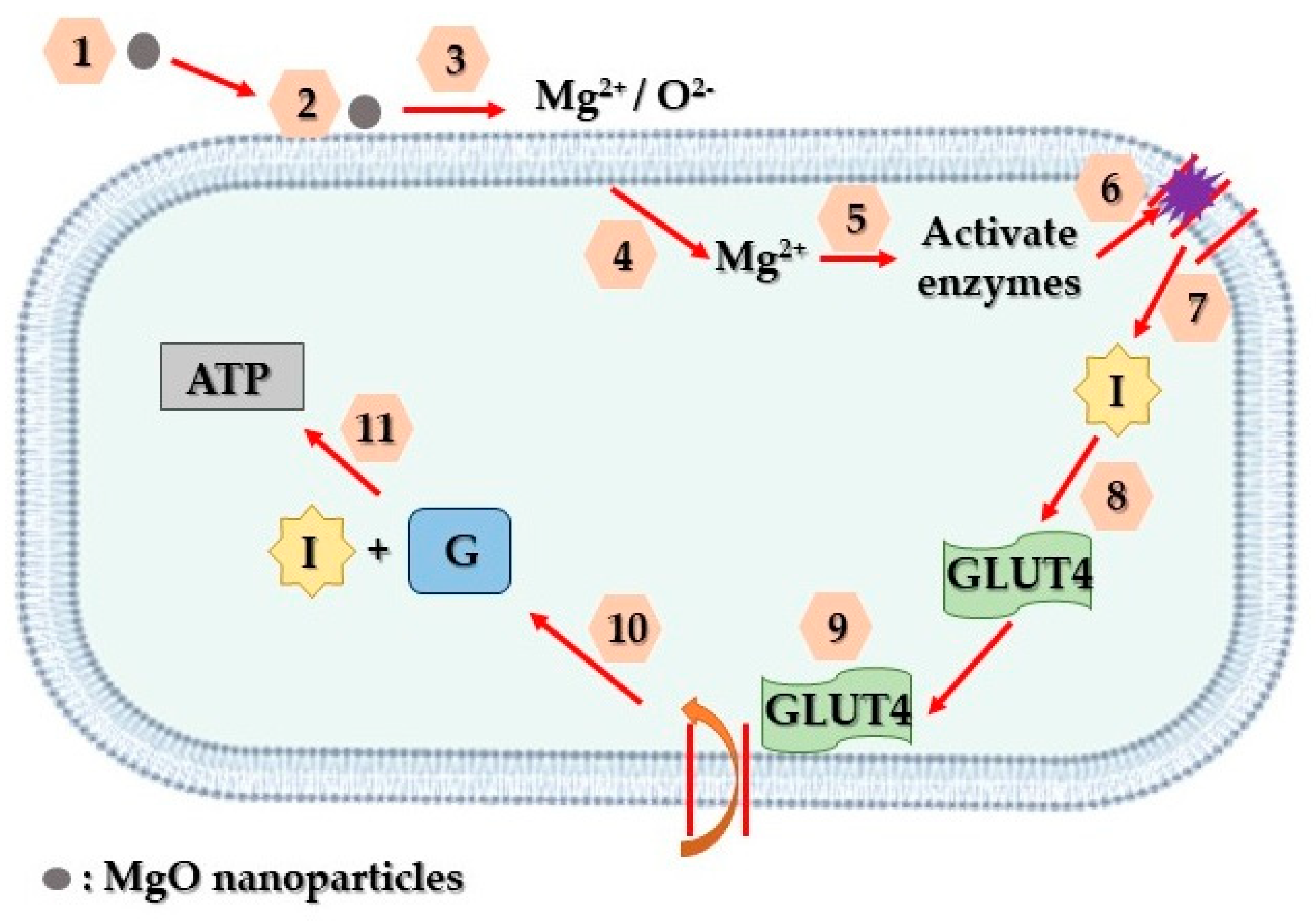 Crystals 14 00215 g015 Crystals 14 00215 g015