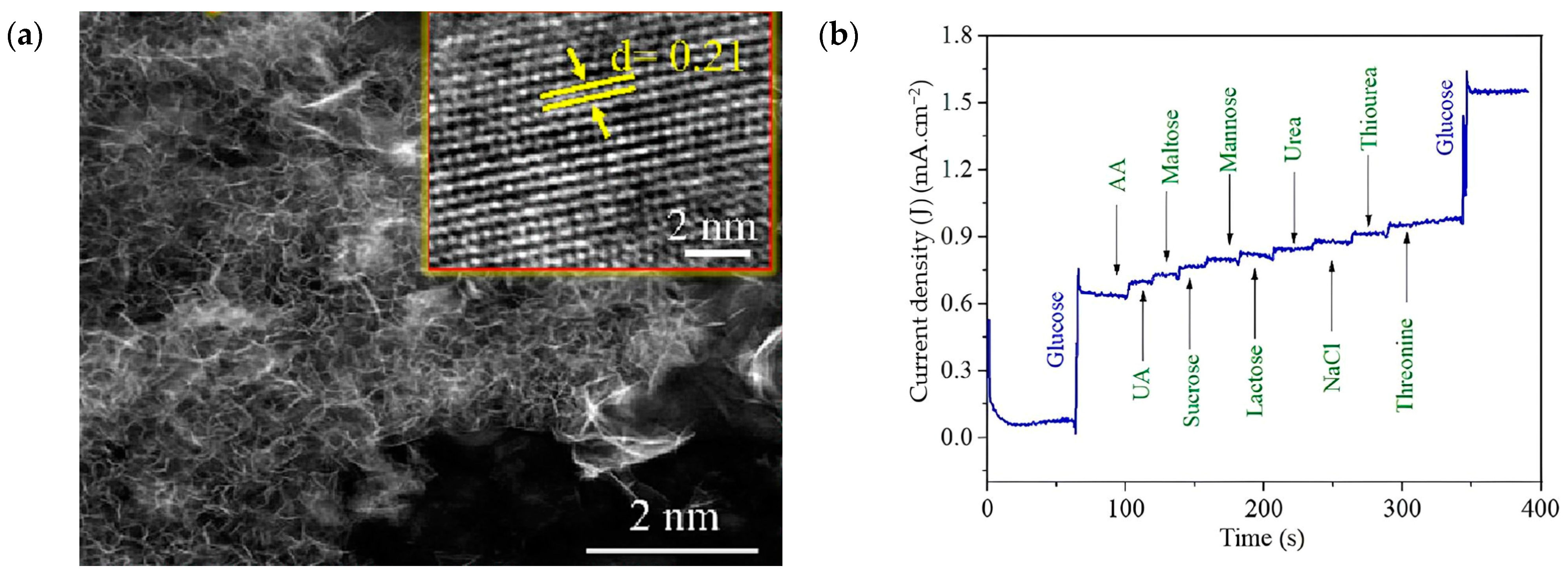 Crystals 14 00215 g016 Crystals 14 00215 g016