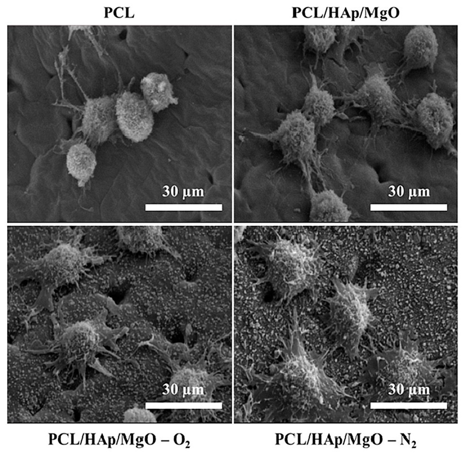 Crystals 14 00215 g017 Crystals 14 00215 g017