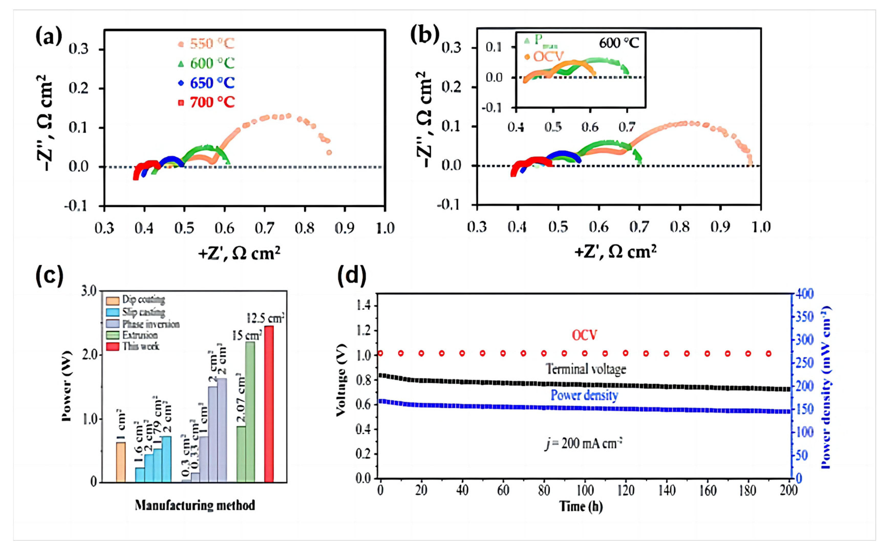 Crystals 14 00225 g015