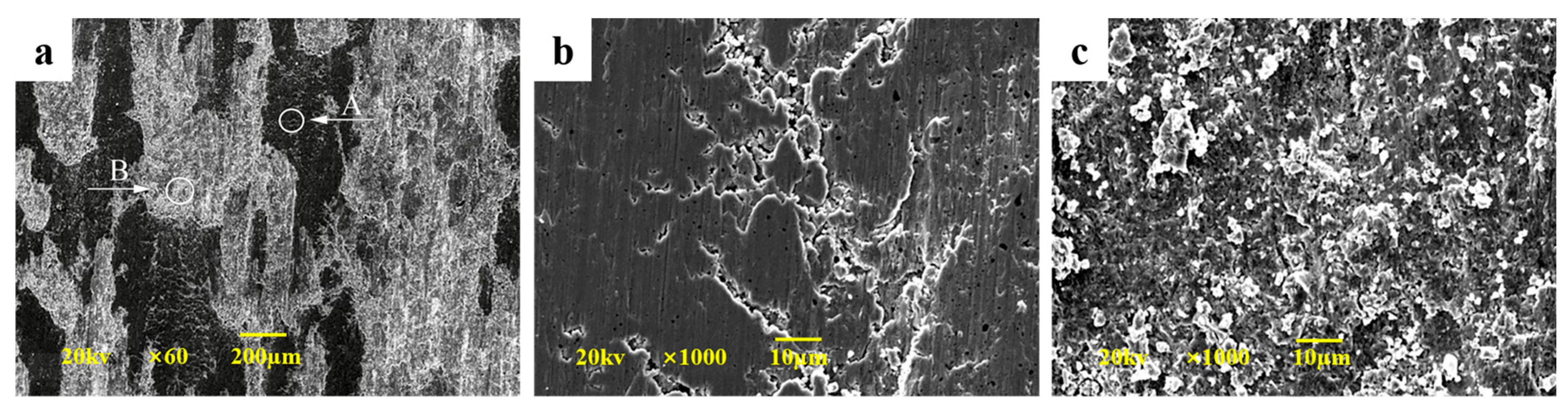 Crystals 14 00232 g003