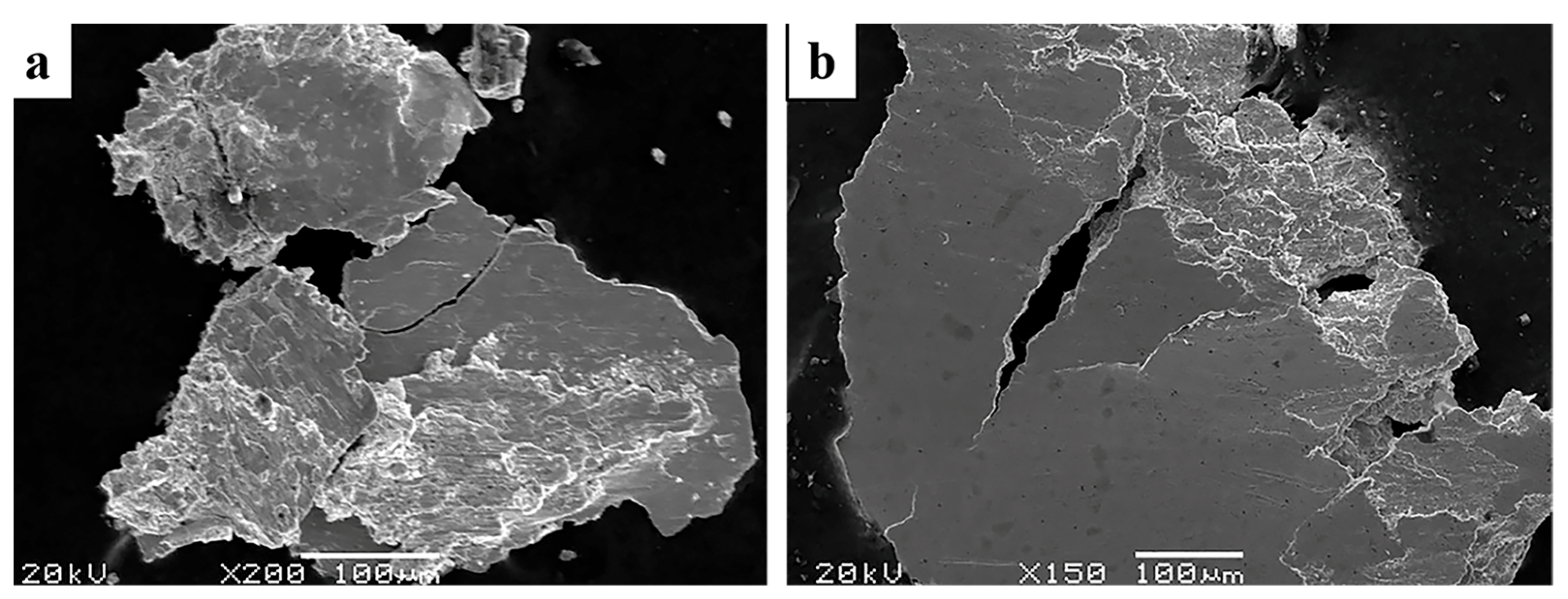 Crystals 14 00232 g010