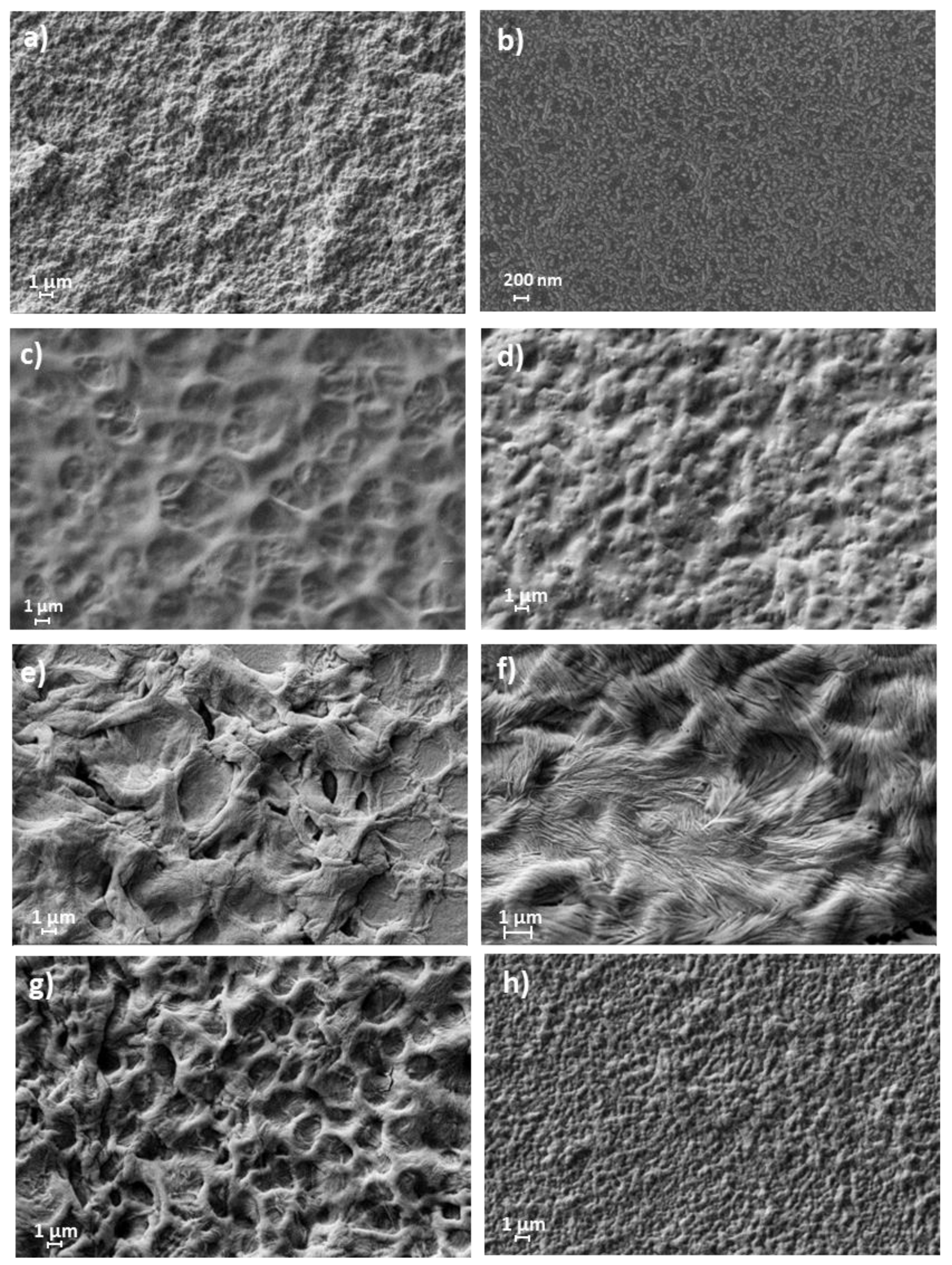 Crystals 14 00249 g033