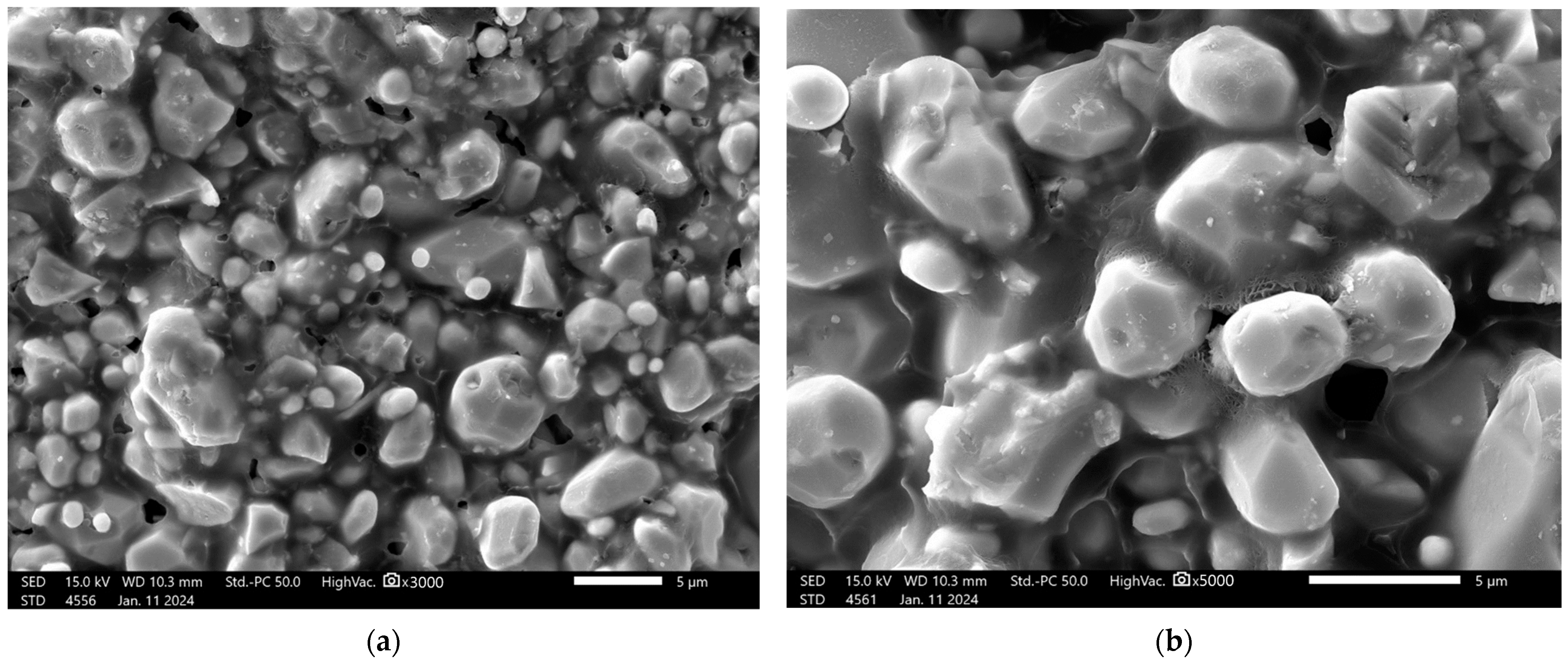 Crystals 14 00271 g011