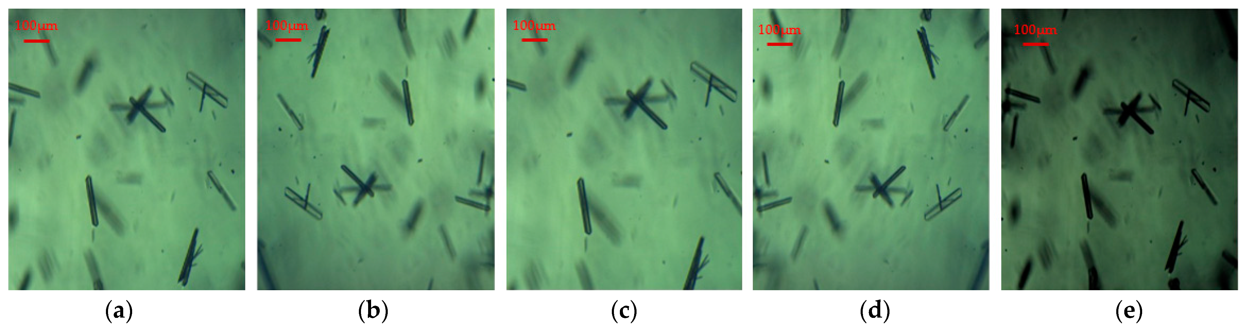 Crystals 14 00298 g005 Crystals 14 00298 g005
