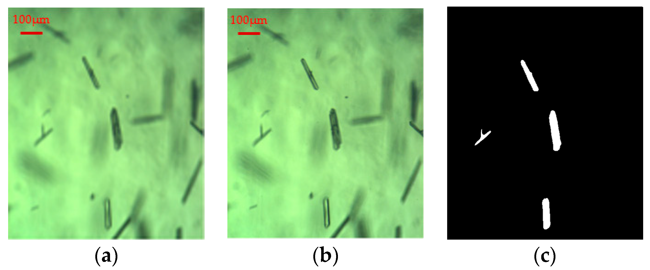 Crystals 14 00298 g006 Crystals 14 00298 g006