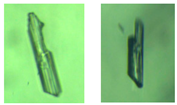 Crystals 14 00298 i002 Crystals 14 00298 i002