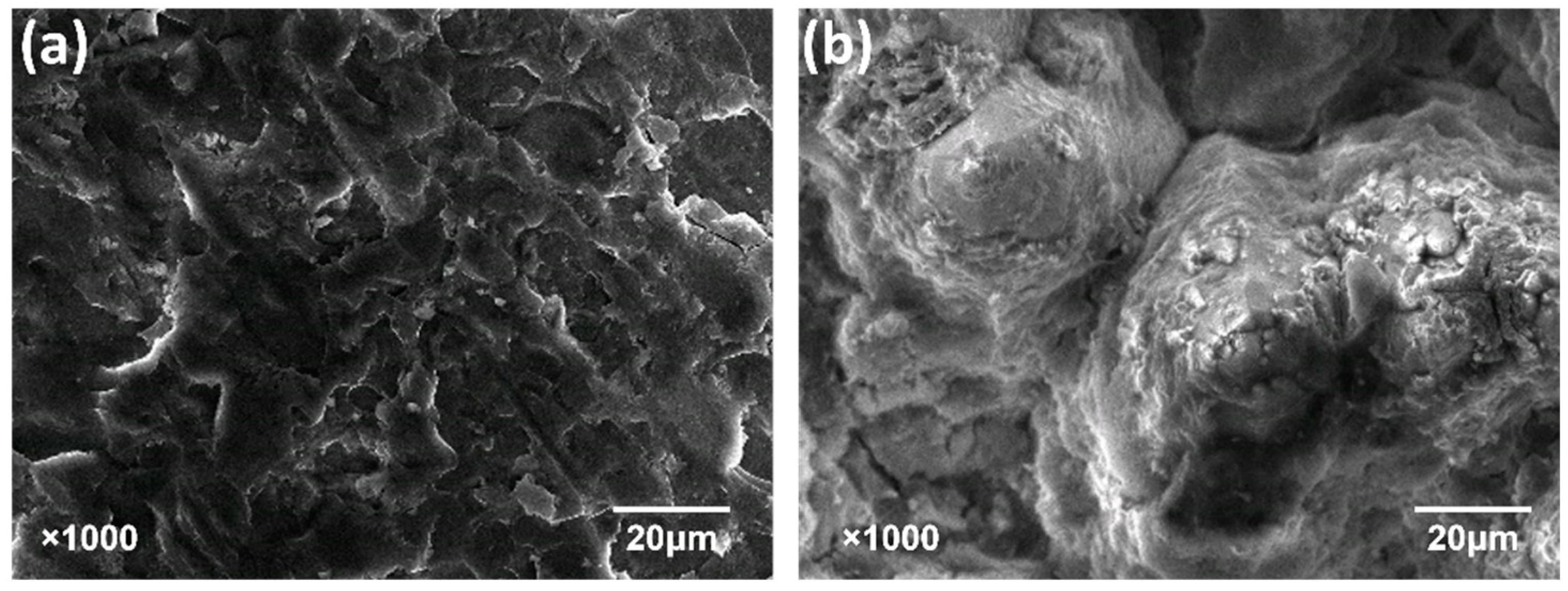 Crystals 14 00337 g004