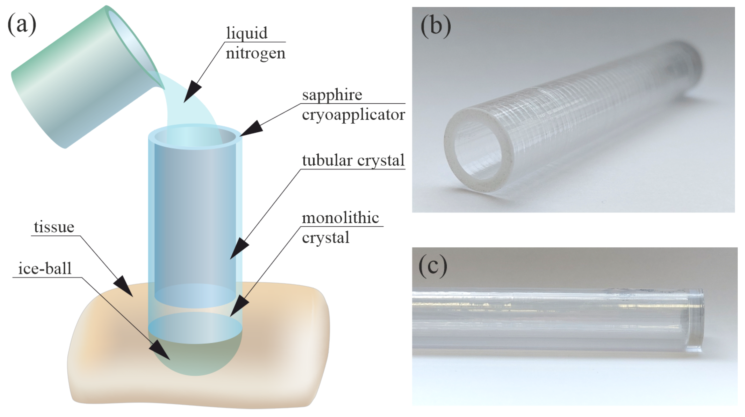 Crystals 14 00346 g001
