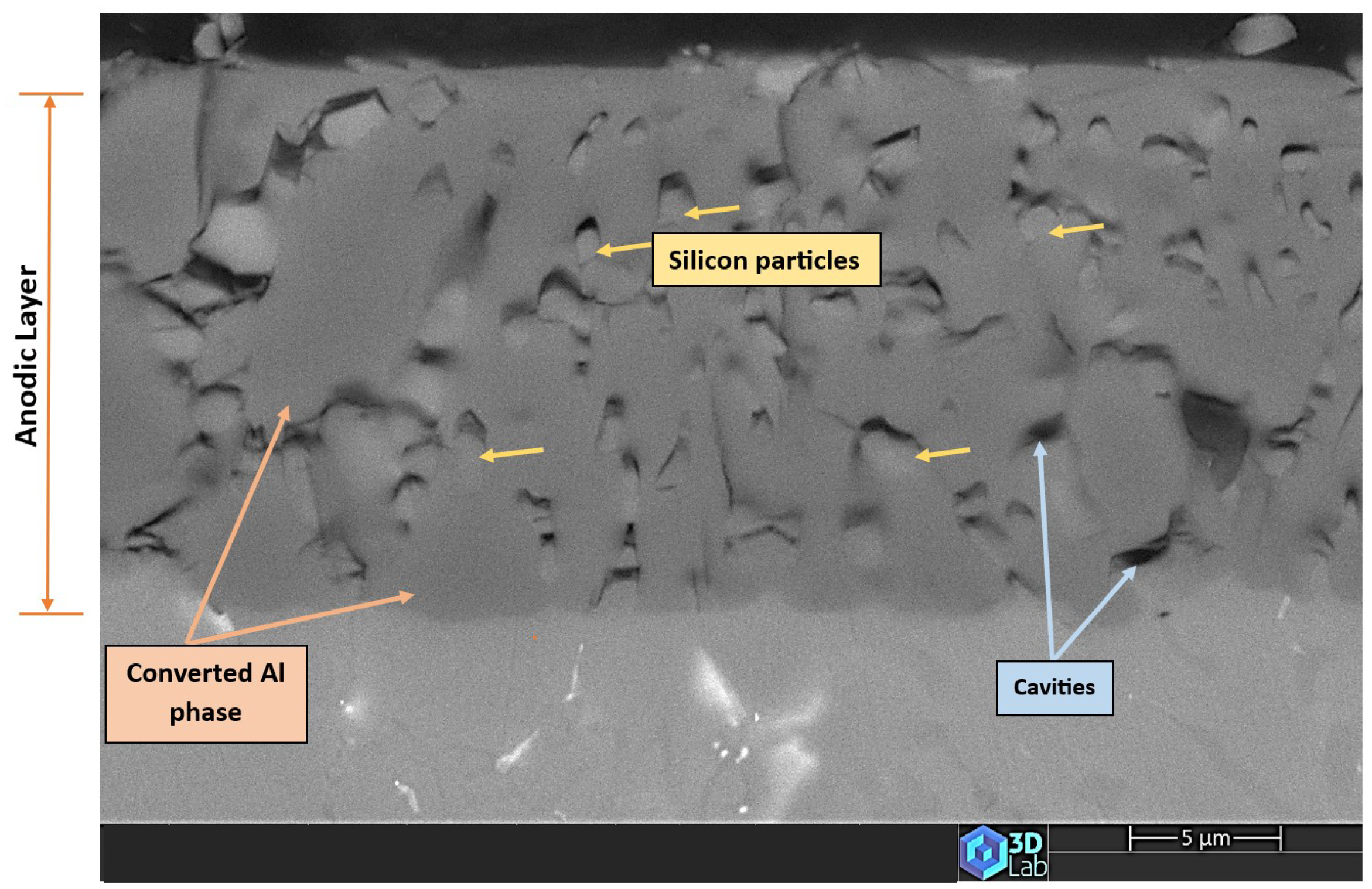 Crystals 14 00352 g010