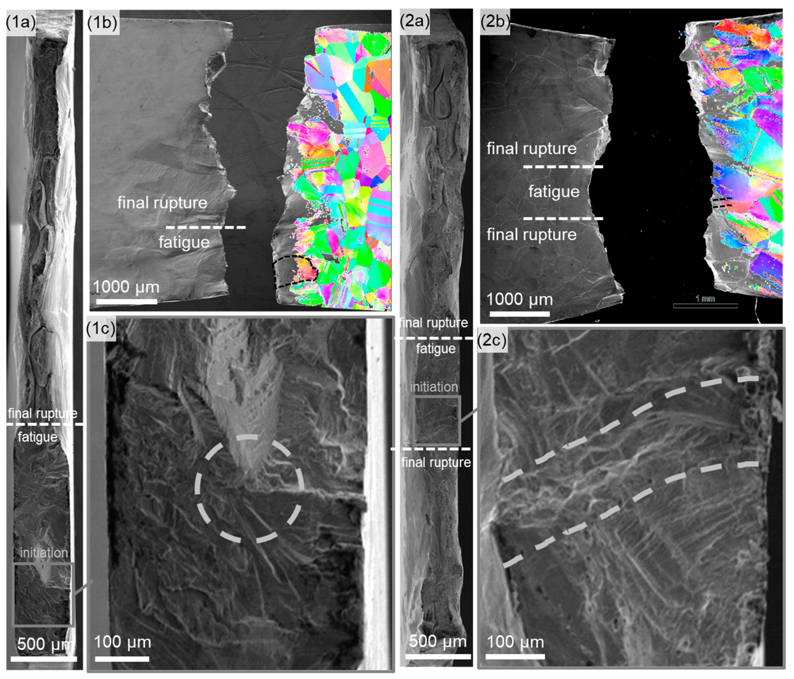 Crystals 14 00356 g005