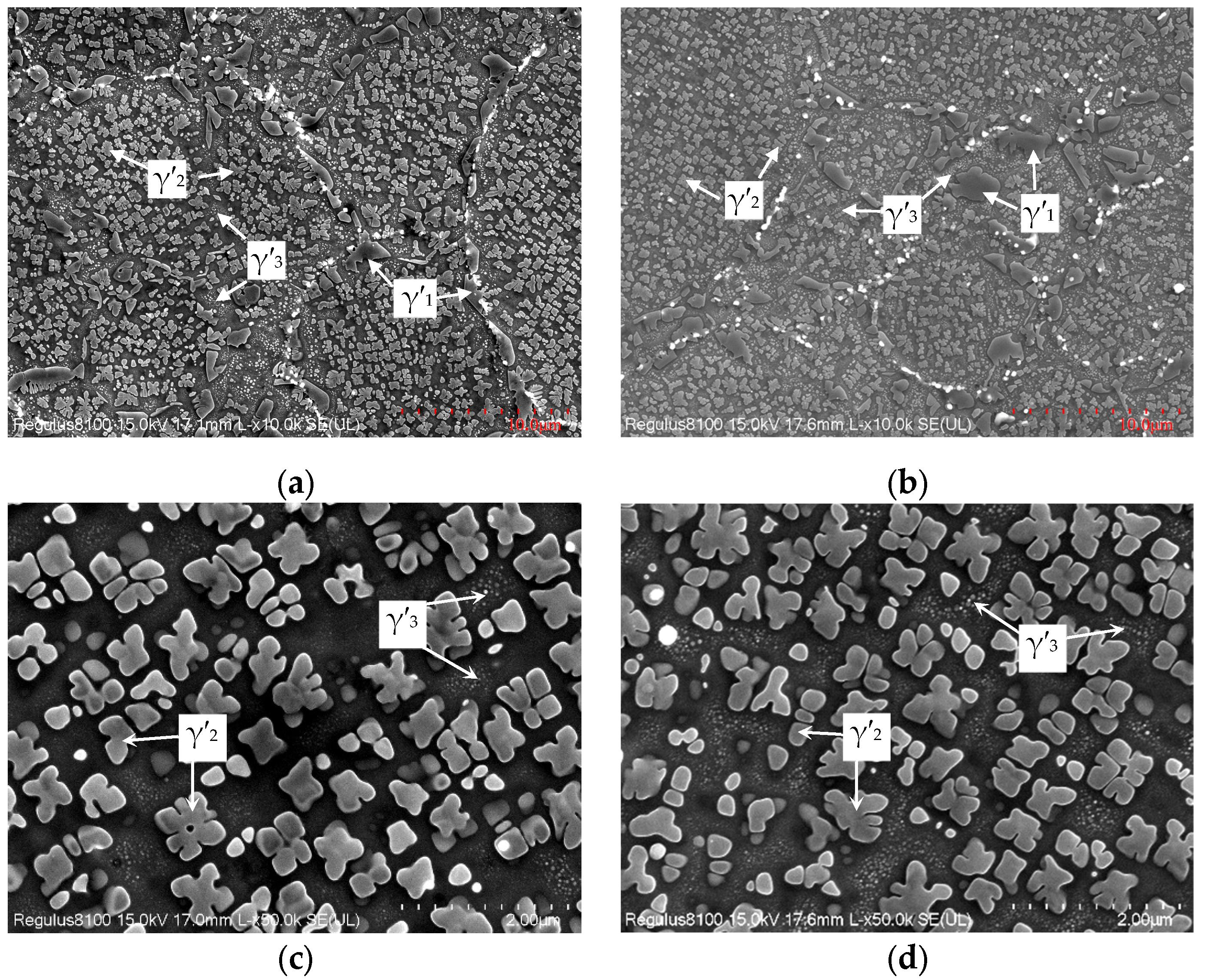 Crystals 14 00358 g004