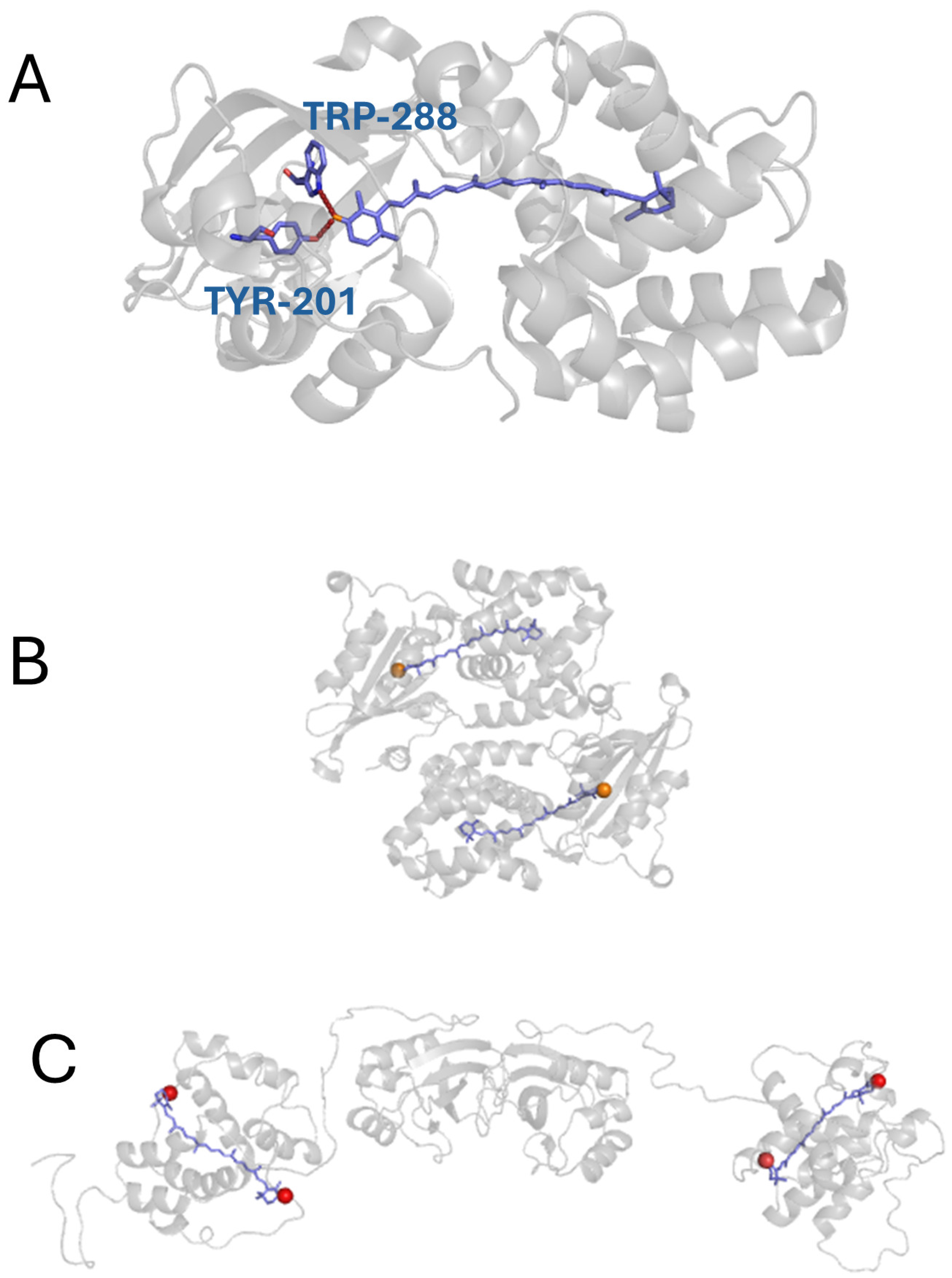 Crystals 14 00361 g001