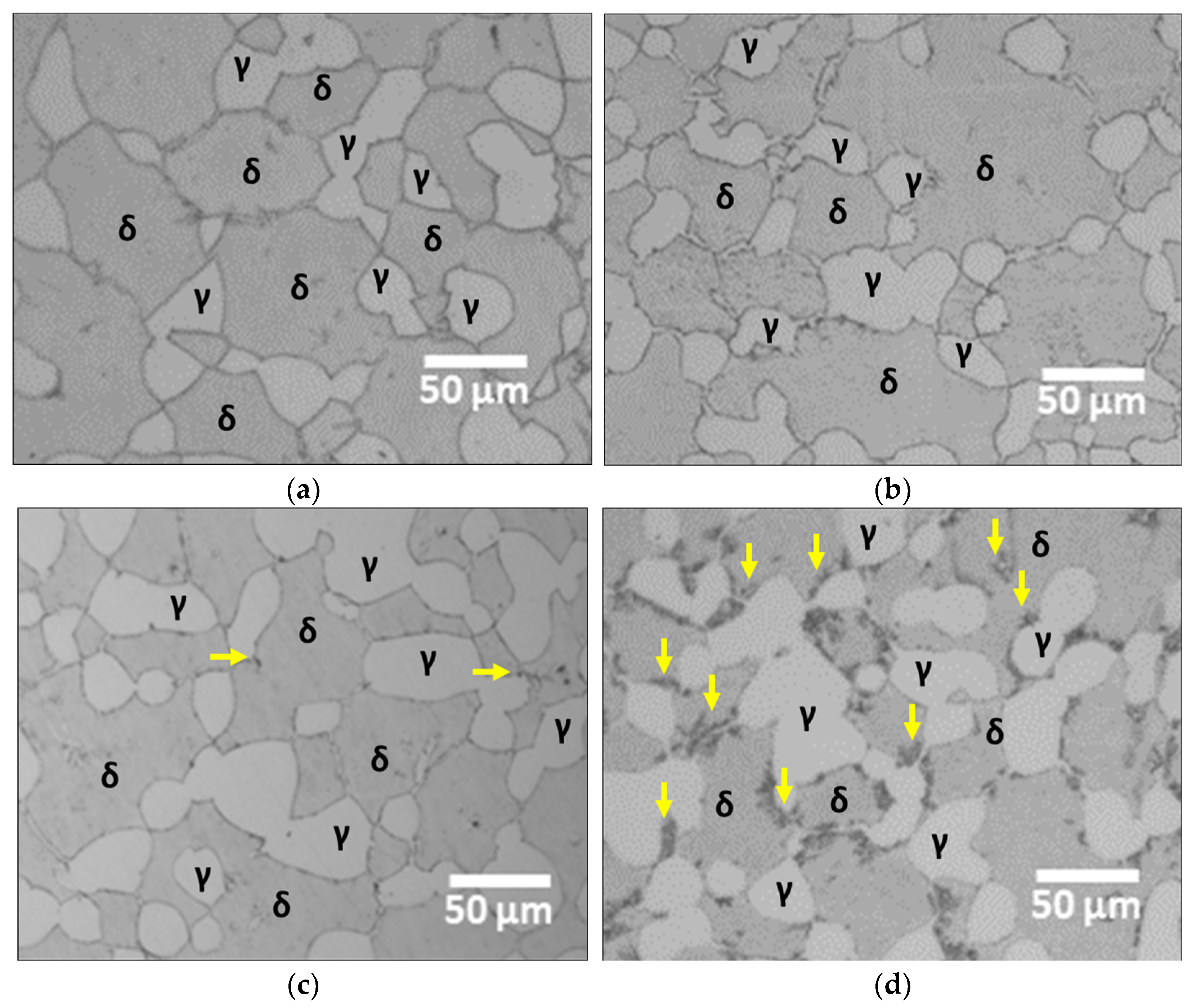Crystals 14 00378 g005