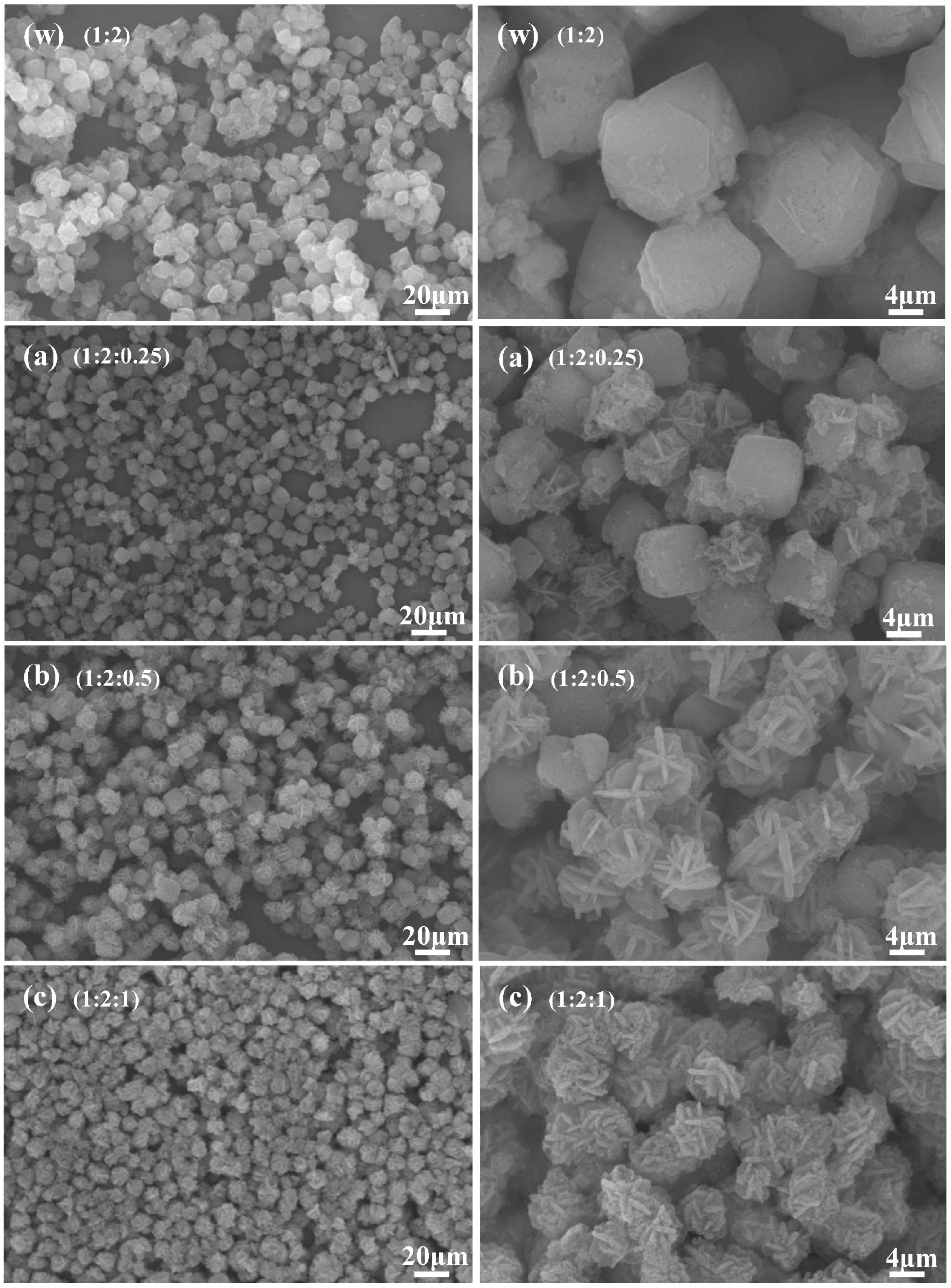 Crystals 14 00379 g013