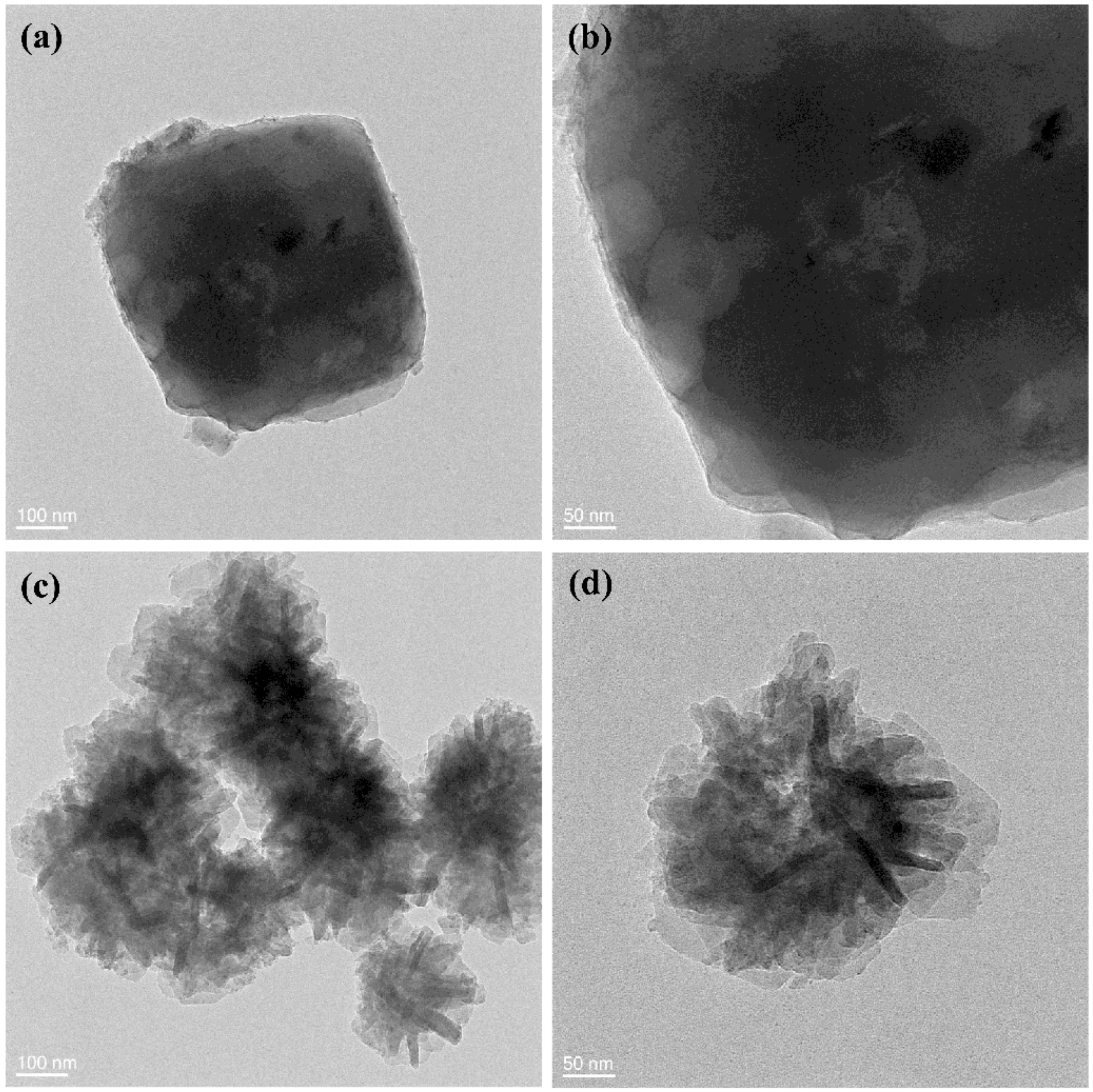 Crystals 14 00379 g015